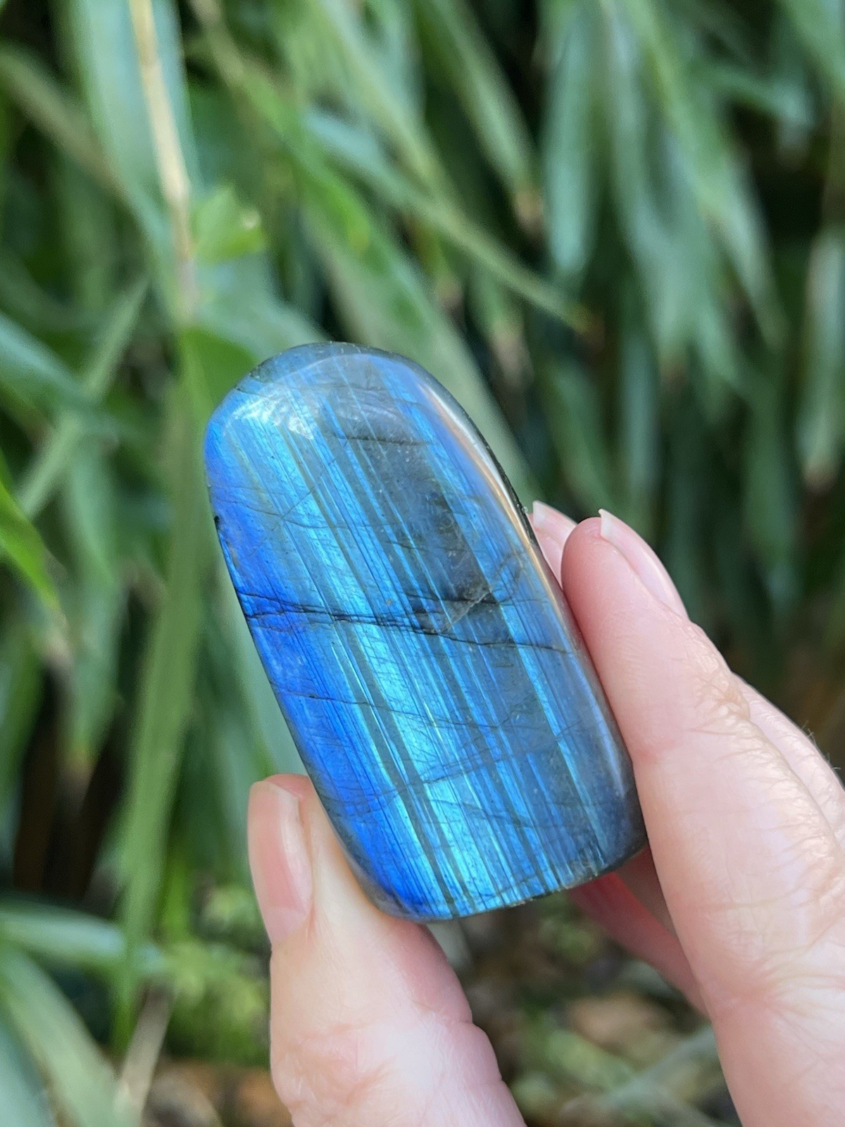 Deep Blue Labradorite Freeform Iridescent Crystal AAA+ 14