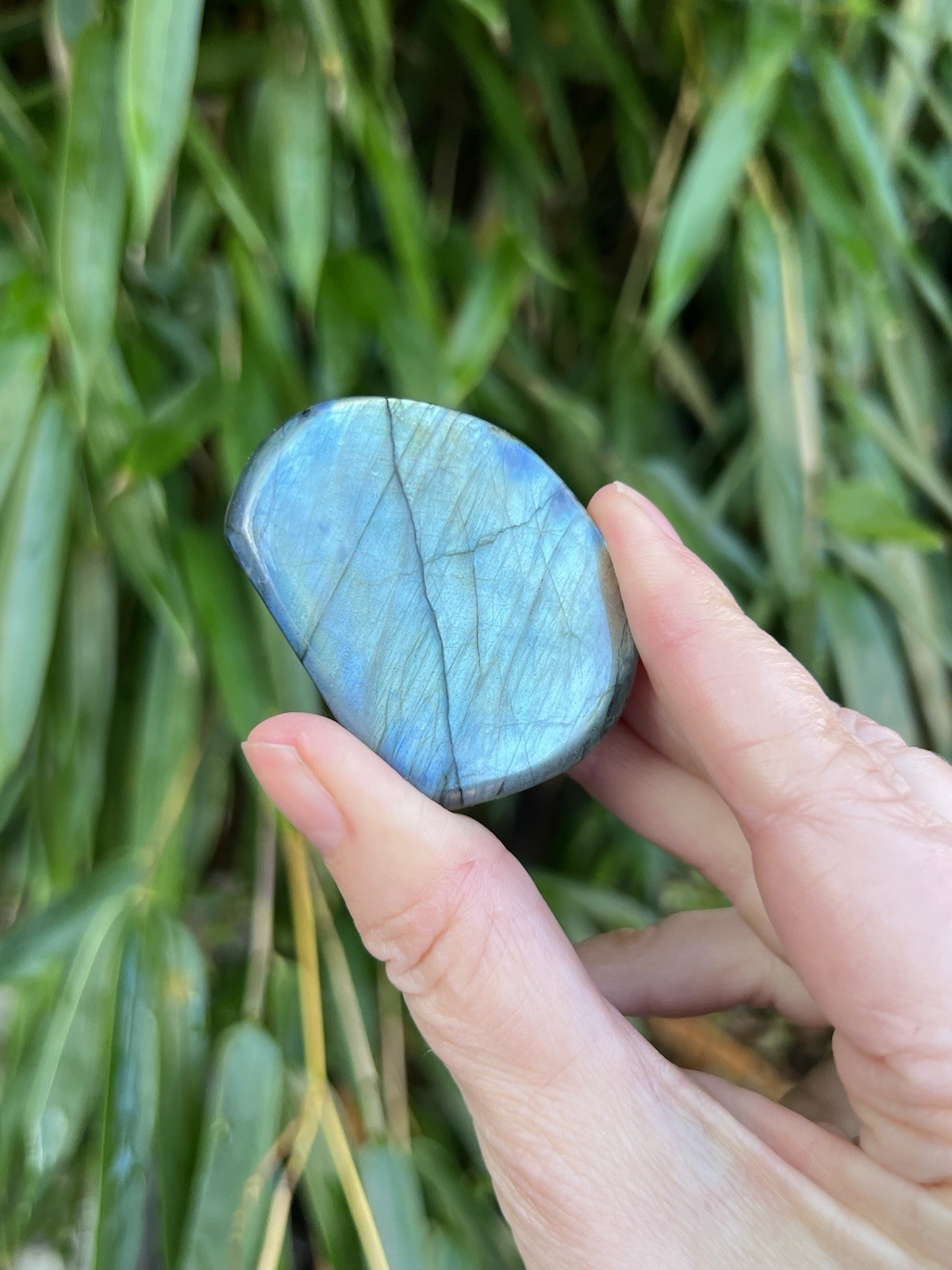 Deep Blue Labradorite Freeform Iridescent Crystal AAA+ 11
