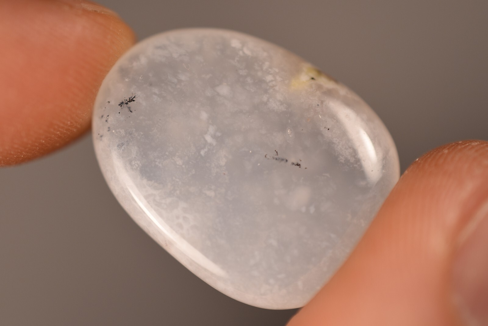 3 *DENDRITIC AGATE* Flat Stones 2-3cm 19.3g MERLINITE Chalcedony Palm Natural