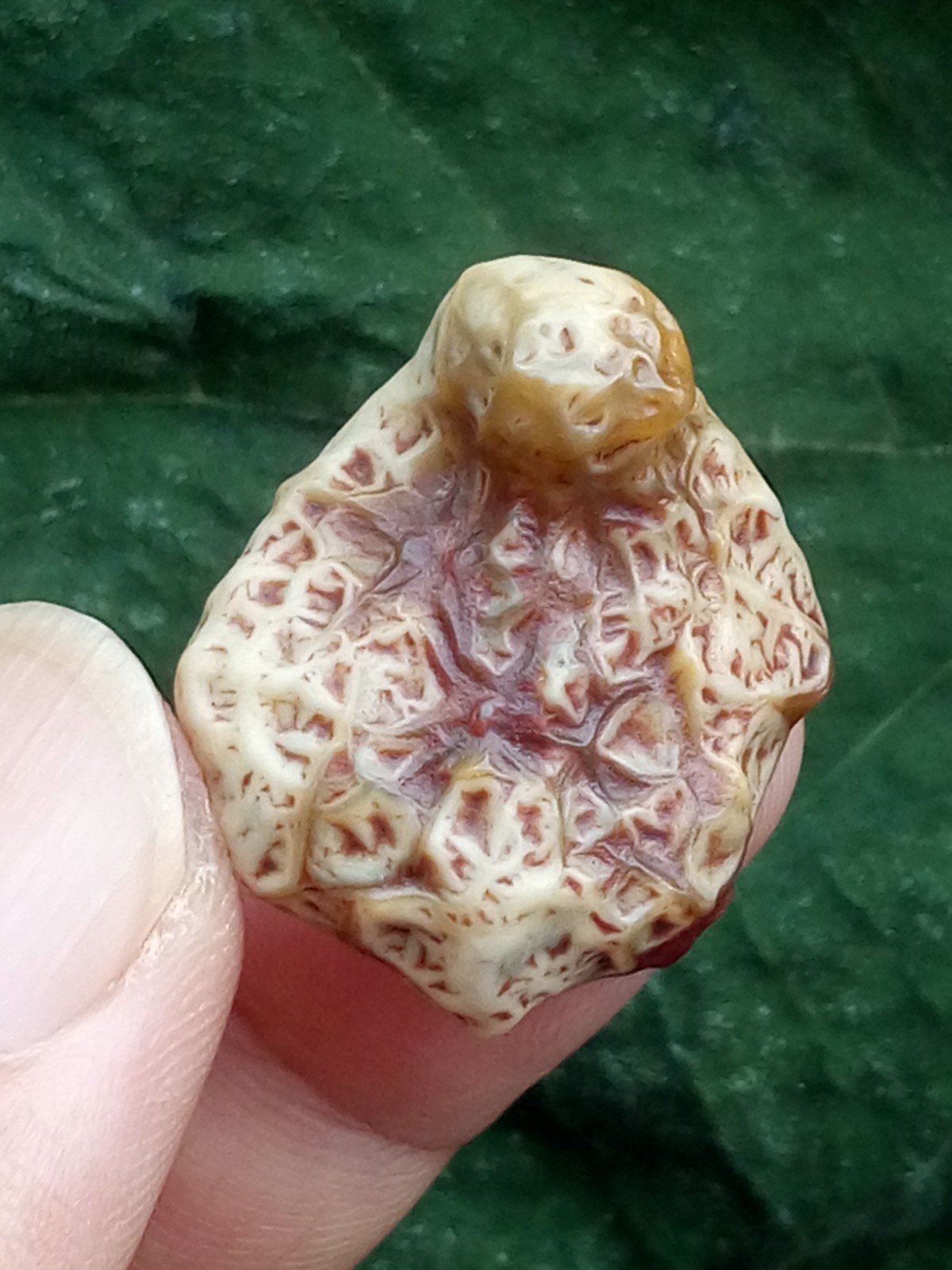 26mm Beautiful Natural GoBi agate veins agate collection