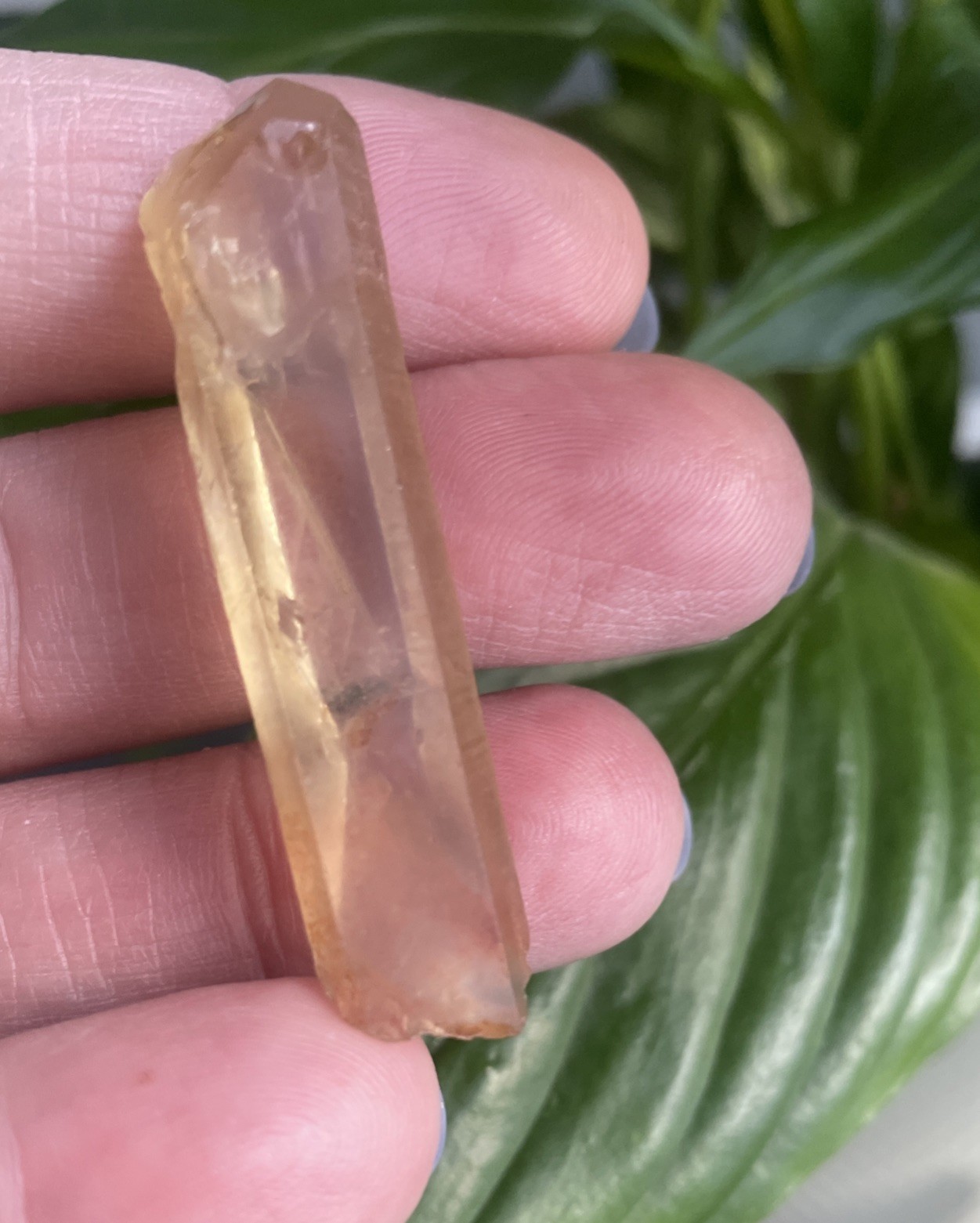 Beautiful Zambian Citrine Natural Untreated 10gm 50.3mm (C18)