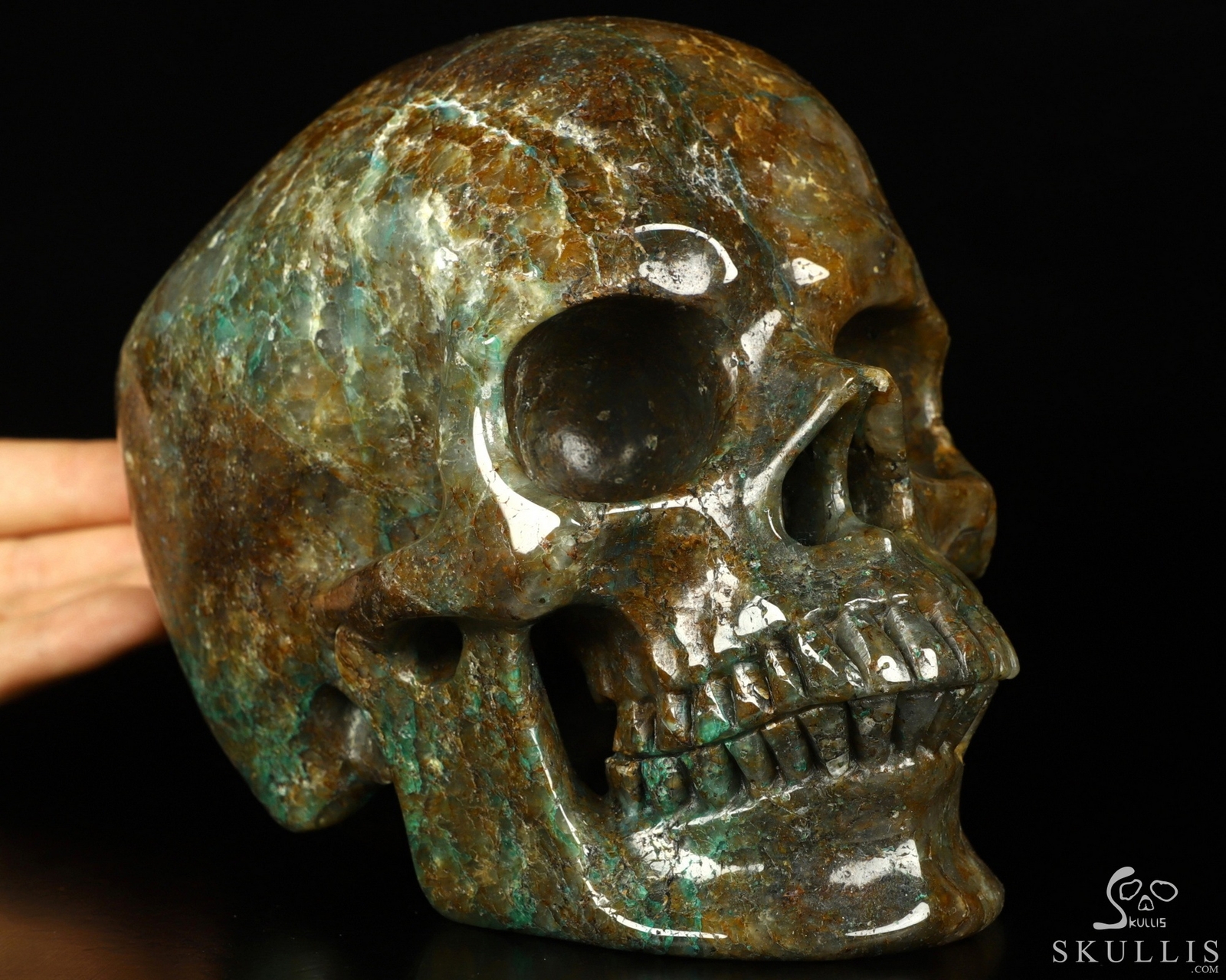 7.0″ Chrysocolla Carved Crystal Skull, Realistic