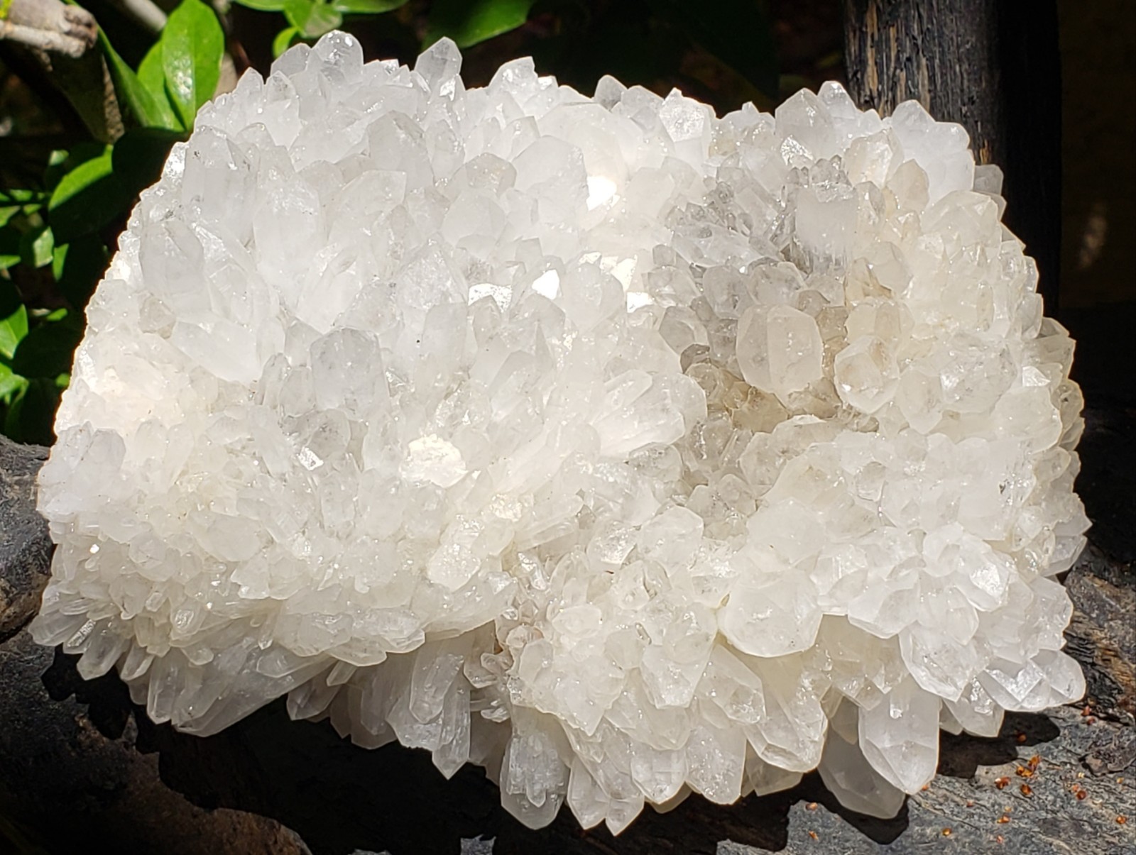 Natural White Clear Quartz Crystal Cluster Rainbow Specimen on Matrix, 1042g