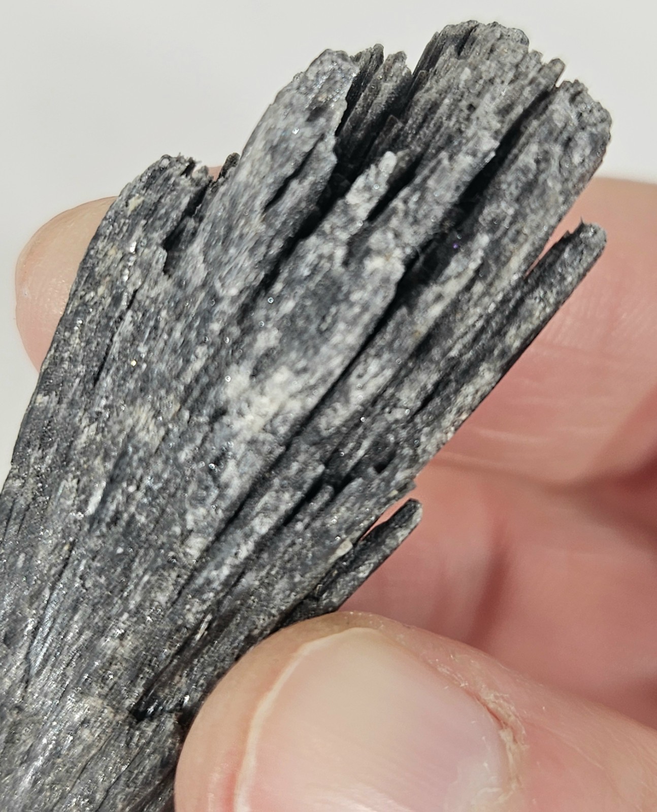 Natural Rough Black Kyanite Fan Blade – Witch’s Broom Crystal Healing Specimen