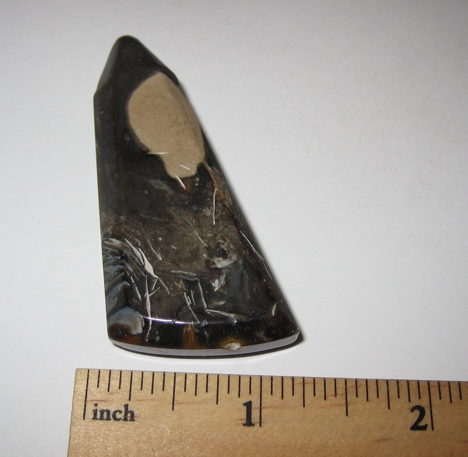 2.4″ x 1″ TUMBLED POLISHED CABOCHON STYLE CUT FOSSIL FORAMINIFERA STONE 28.4g *4