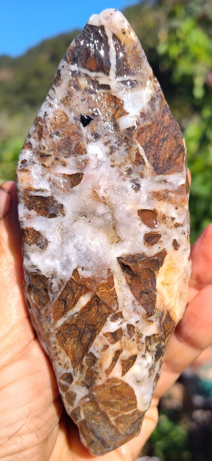 Quartz Crystal Vug Yoni Talisman Amulet Stone California Central Coast 1 Lb 1 Oz