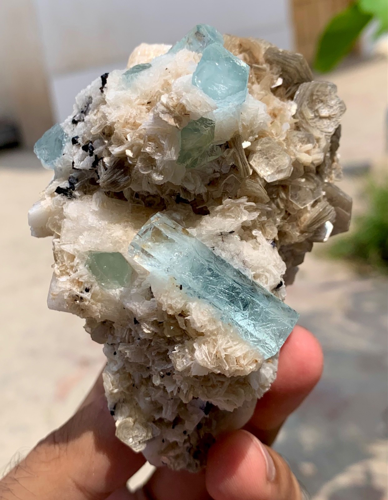 257 Gm Aquamarine Crystals on Matrix Albite Combine Tourmaline, Feldspar—Pak