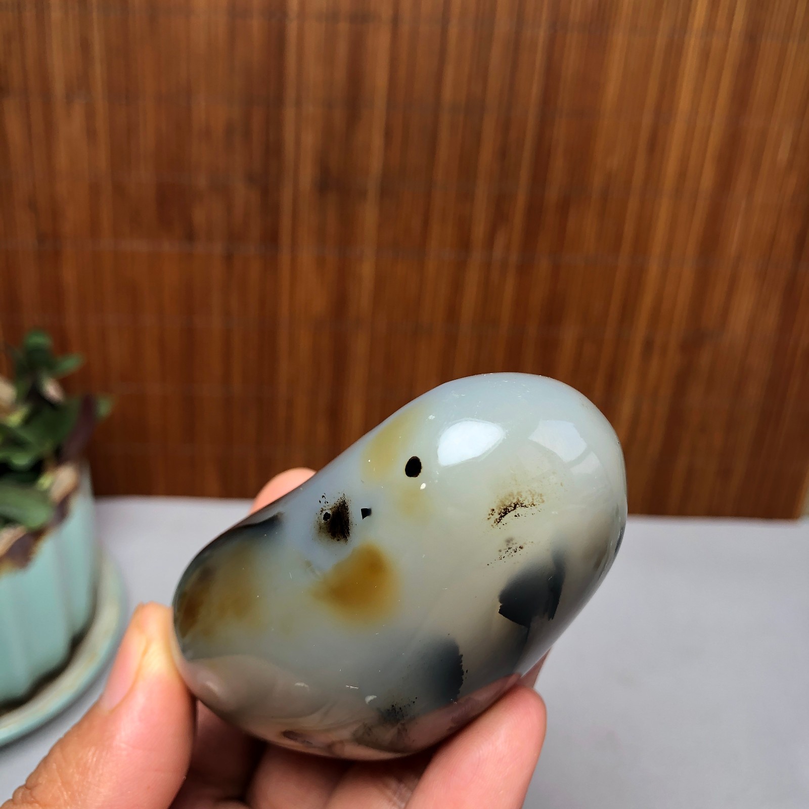 72mm Natural aquatic plants agate pretty Crystal specimens 167g A9995