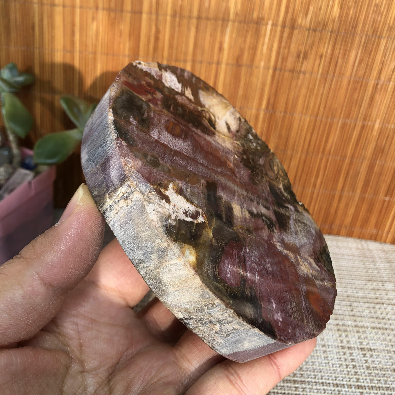 109mm natural Beautiful Petrified Wood Crystal Slice mineral specimen 341g A4860
