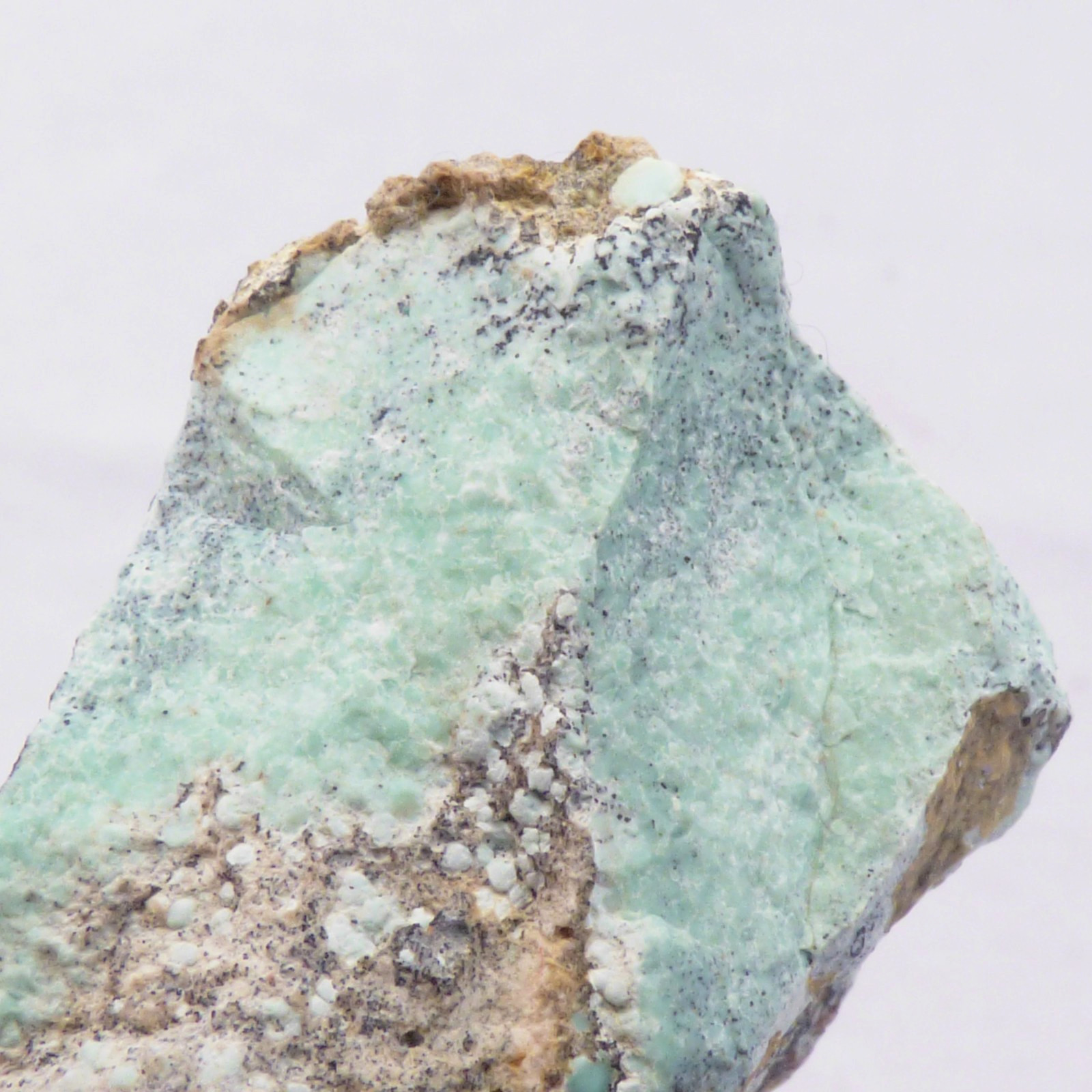 Solid Turquoise Mineral Specimen Island Park Idaho Natural Unpolished 4cm 19g