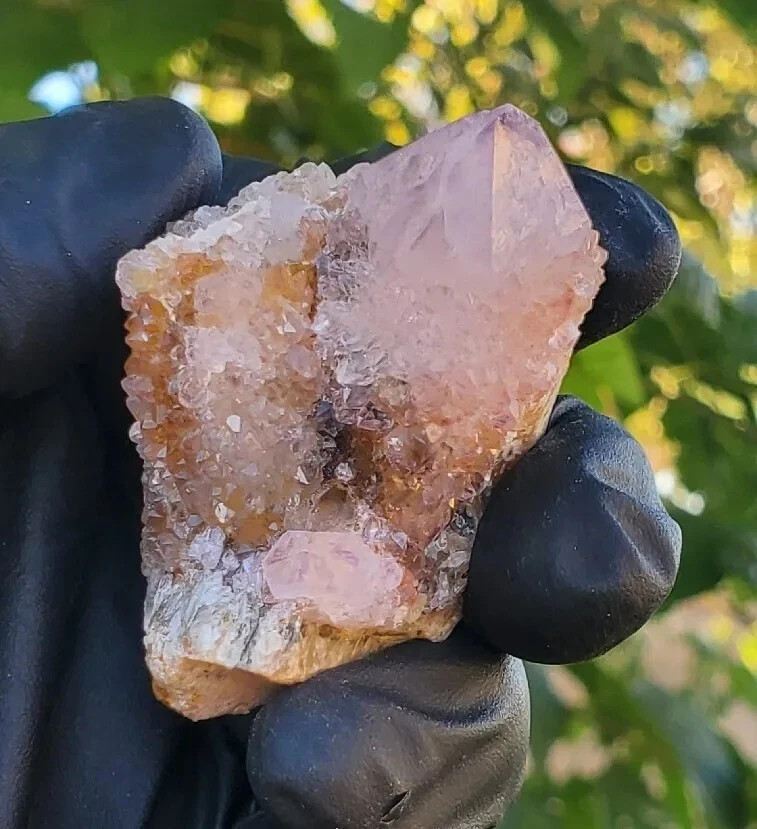 Amethyst Spirit Quartz Crystal Cactus Specimen 72g – South Africa