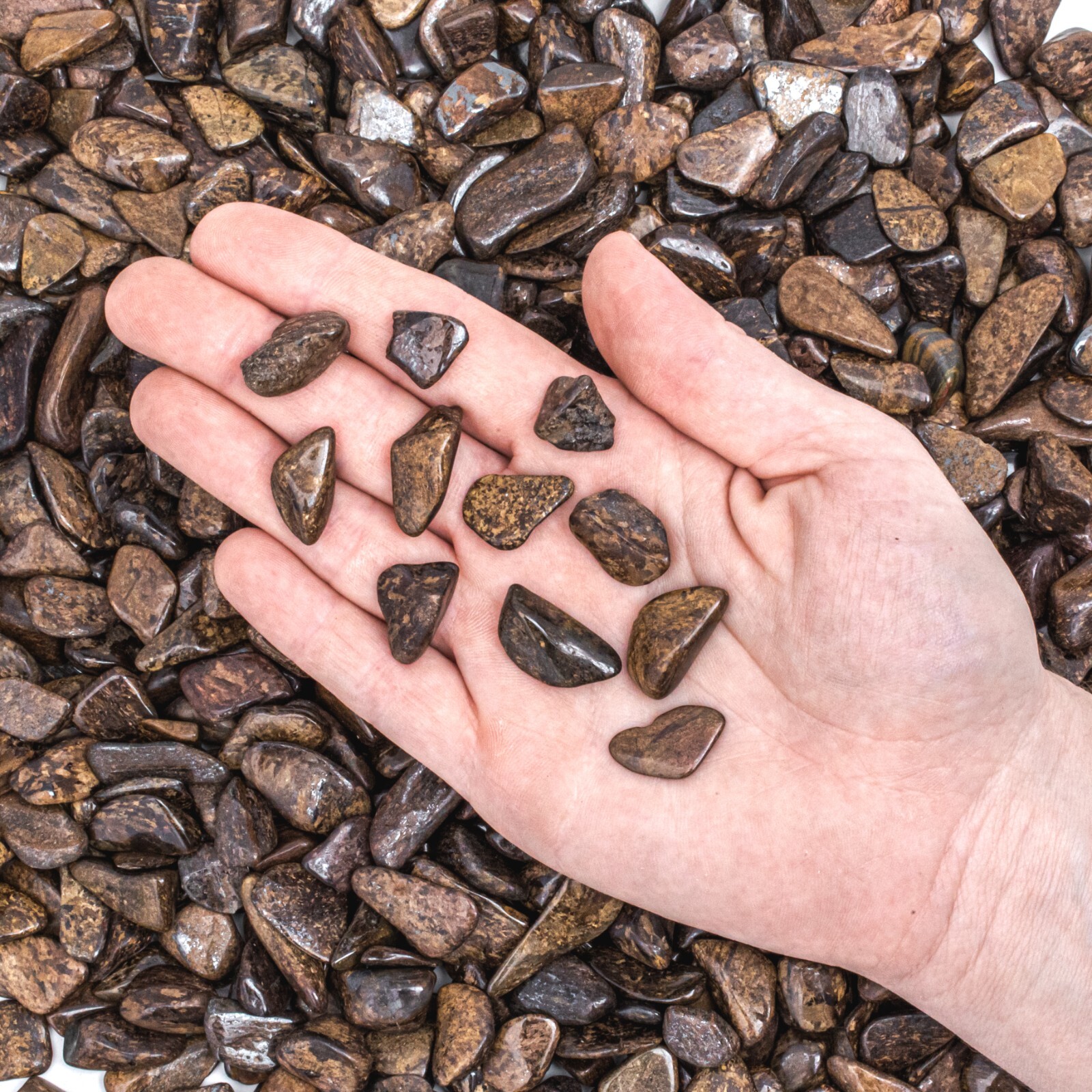 1/4 lb Small Tumbled Bronzite Gemstone Crystals Bulk Gems Wholesale Rocks Crafts