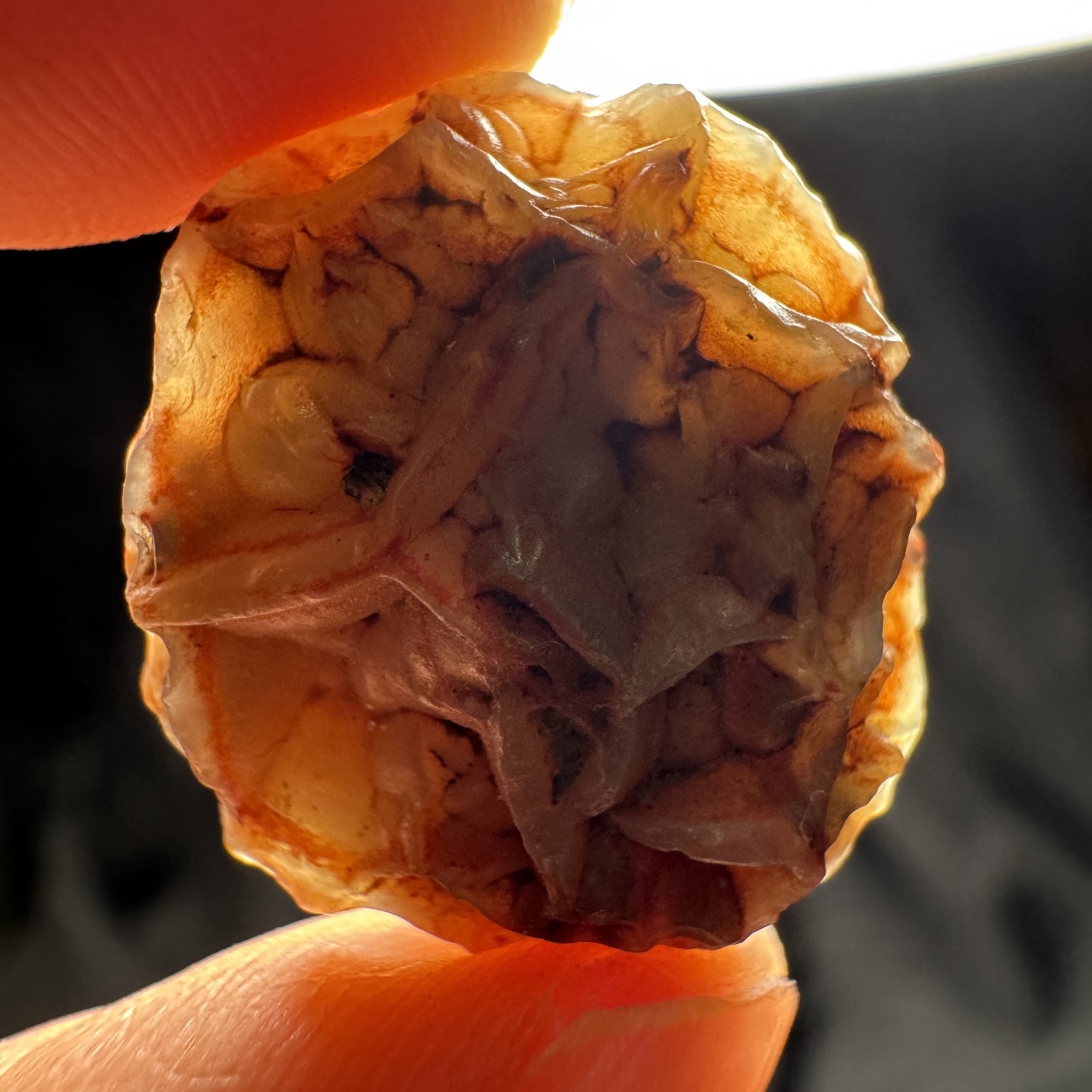 2cm/4.4g Raw Alxa Gobi Vein Agate, Mongolia-5463