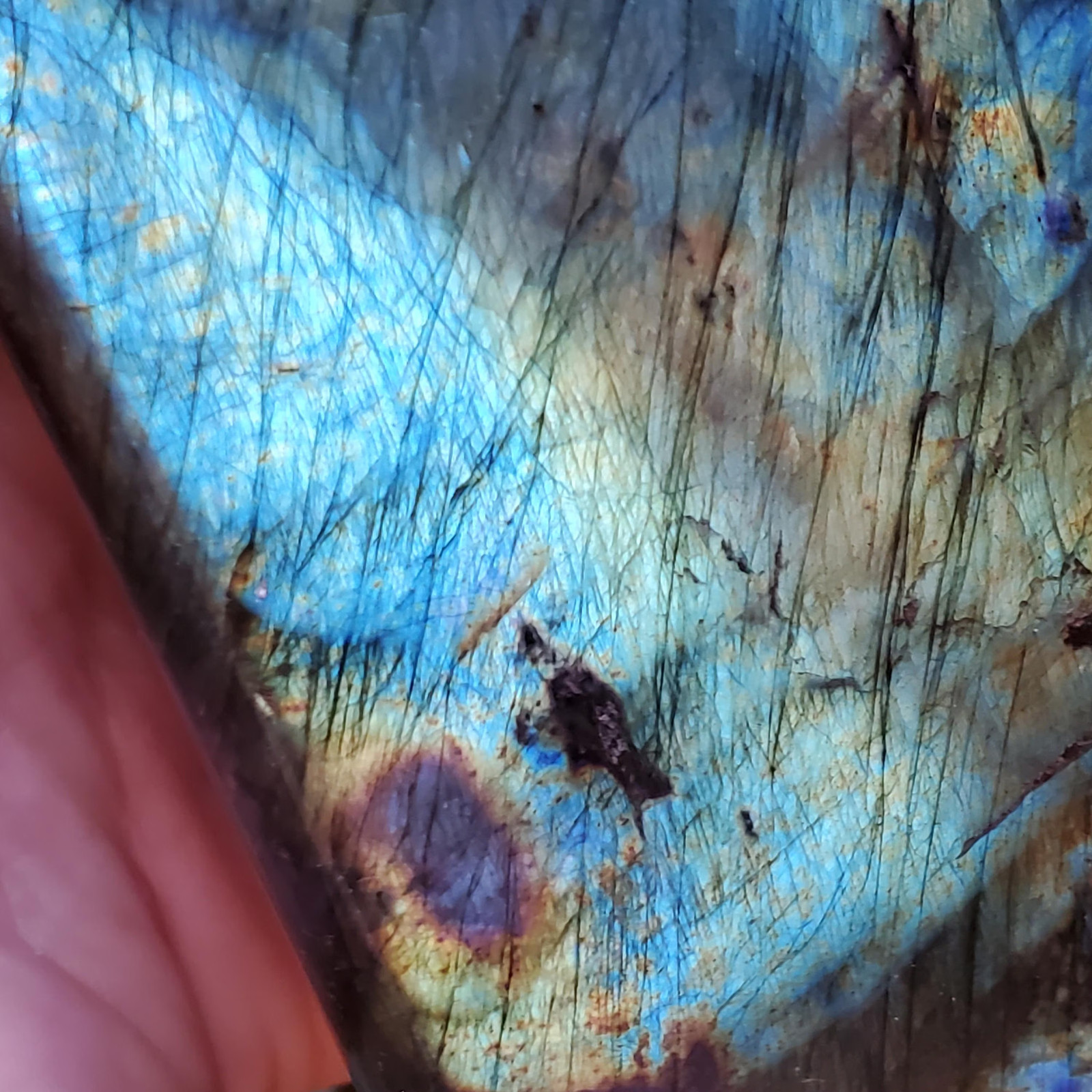 Labradorite Spectrolite Blue & Yellow Flash Crystal Slab Freeform 952 grams