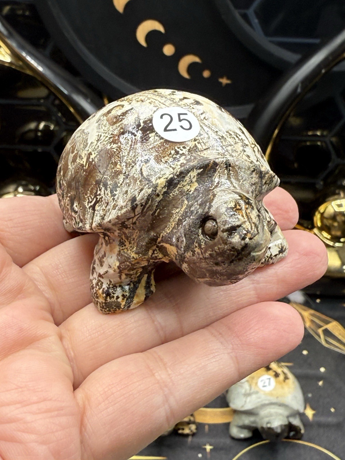 Natural Picture Jasper Land Turtle Tortoise Super Cute Carvings Free ship