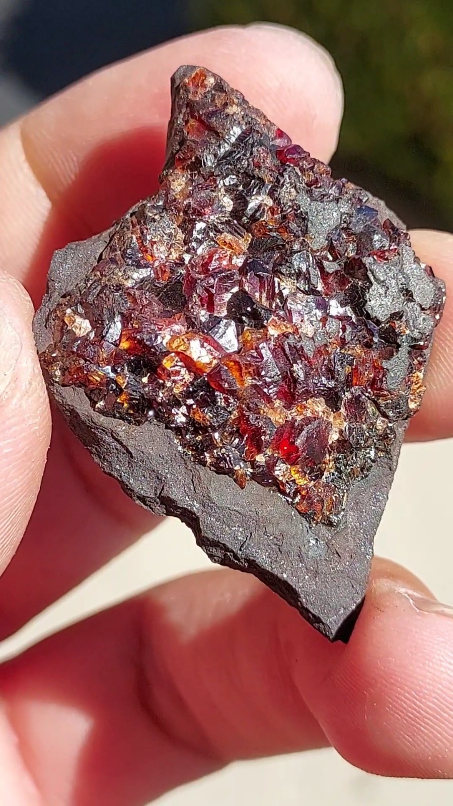 ULTRA RARE GEM RHODOCHROSITE ON MATRIX N’Chwaning I Mine, KMF, South Africa