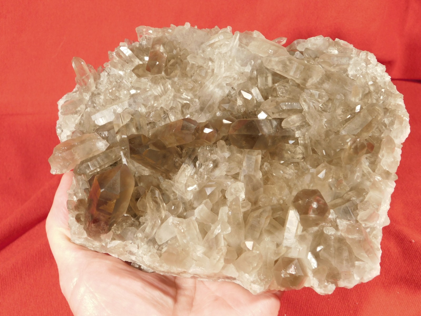 BIG! AAA SMOKY Quartz Crystal Cluster with Stand Brazil 1868gr