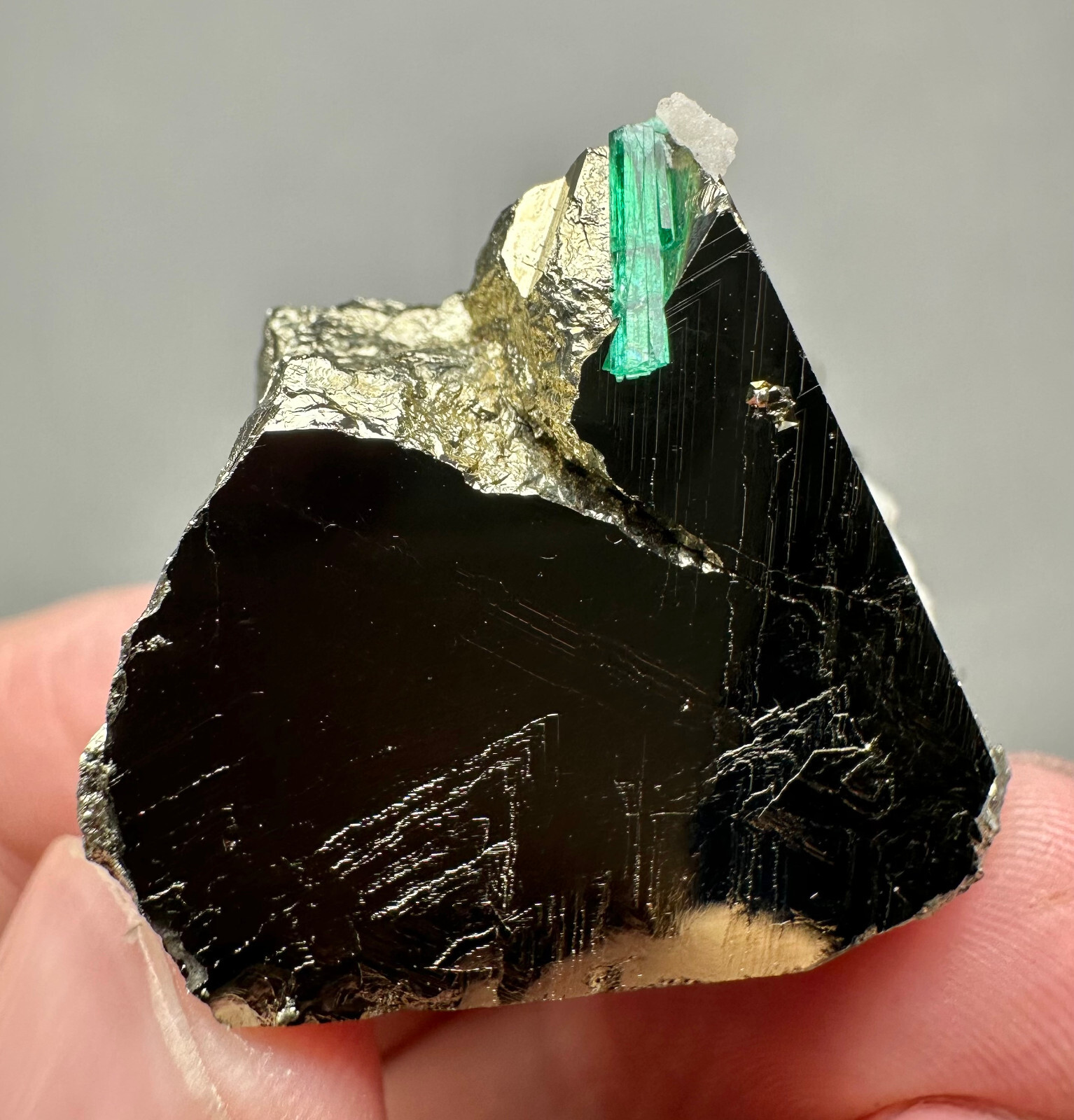 146 Ct. Well Terminated Rare! Green Emerald Crystal On Pyrite Huge Crystal @Afg