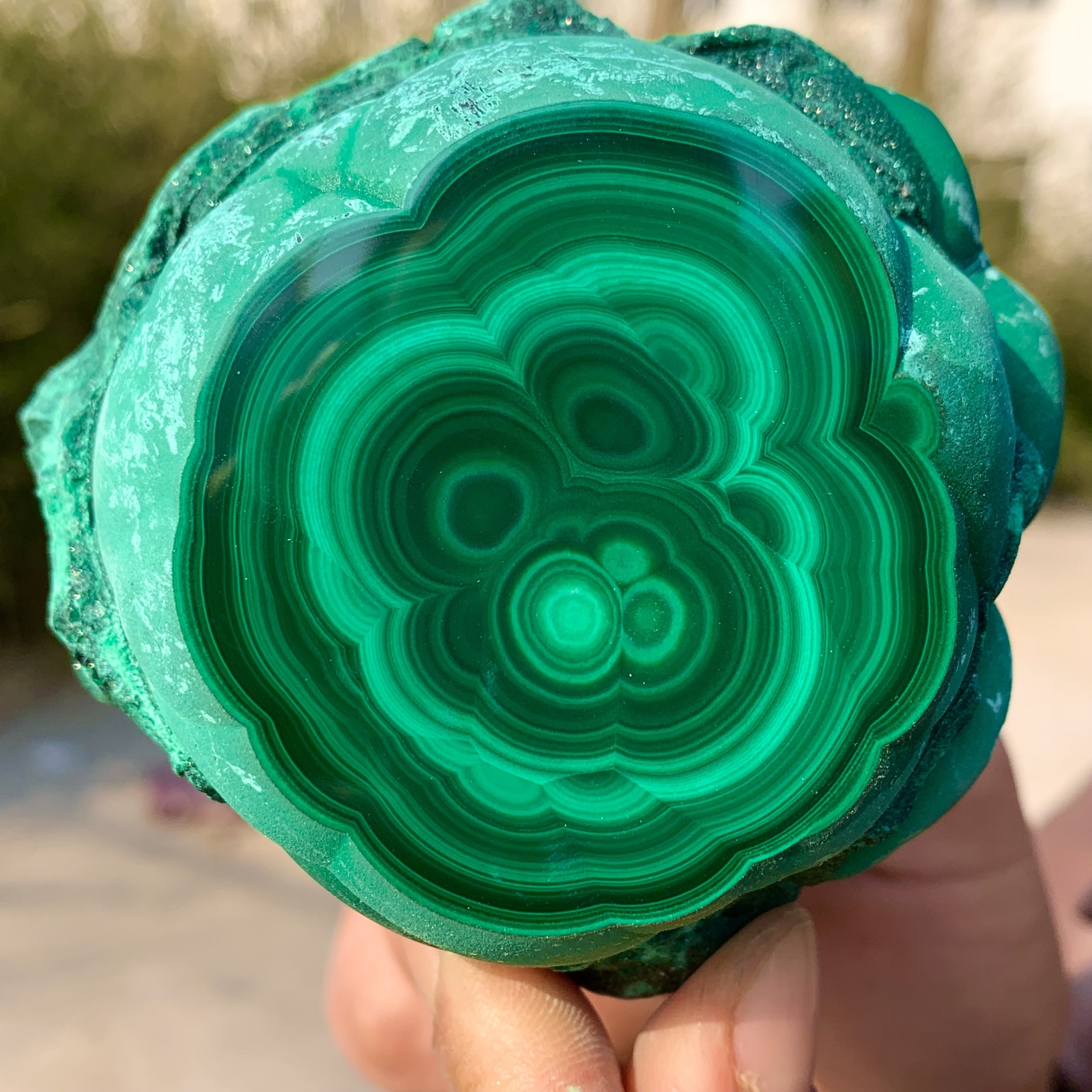 1.39LB Natural glossy Malachite transparent cluster rough mineral sample