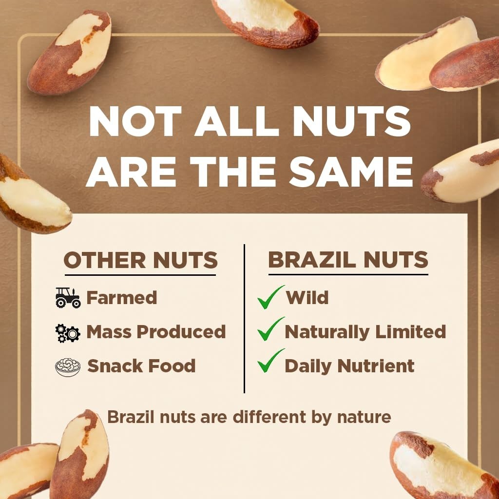 16 oz Raw Brazil Nuts: Rich in Selenium, Gluten & Peanut Free Delight