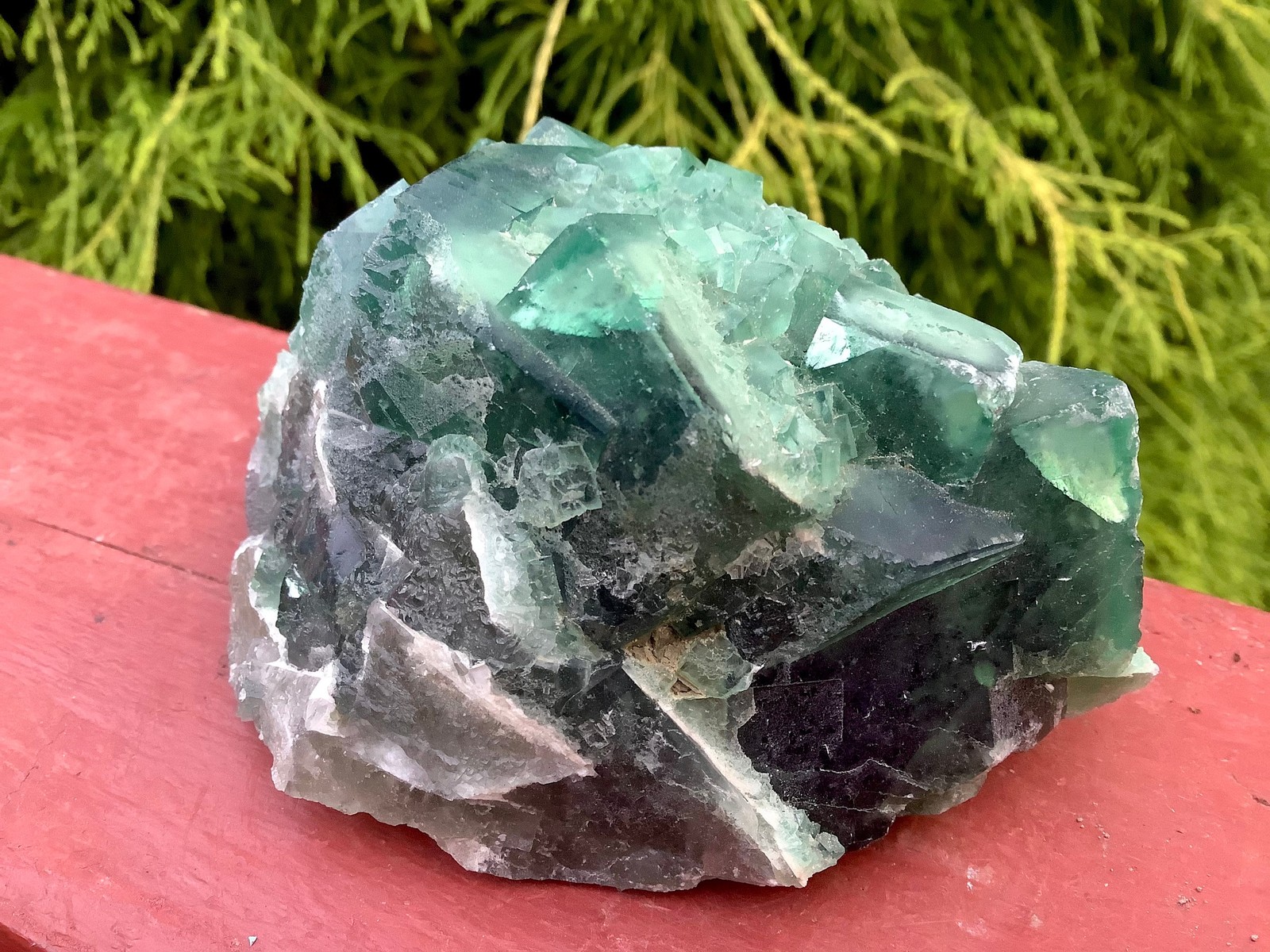 Green Fluorite Crystal Cluster ~ Large 14.9 oz. ~ 3″ Long ~ White Feldspar incl