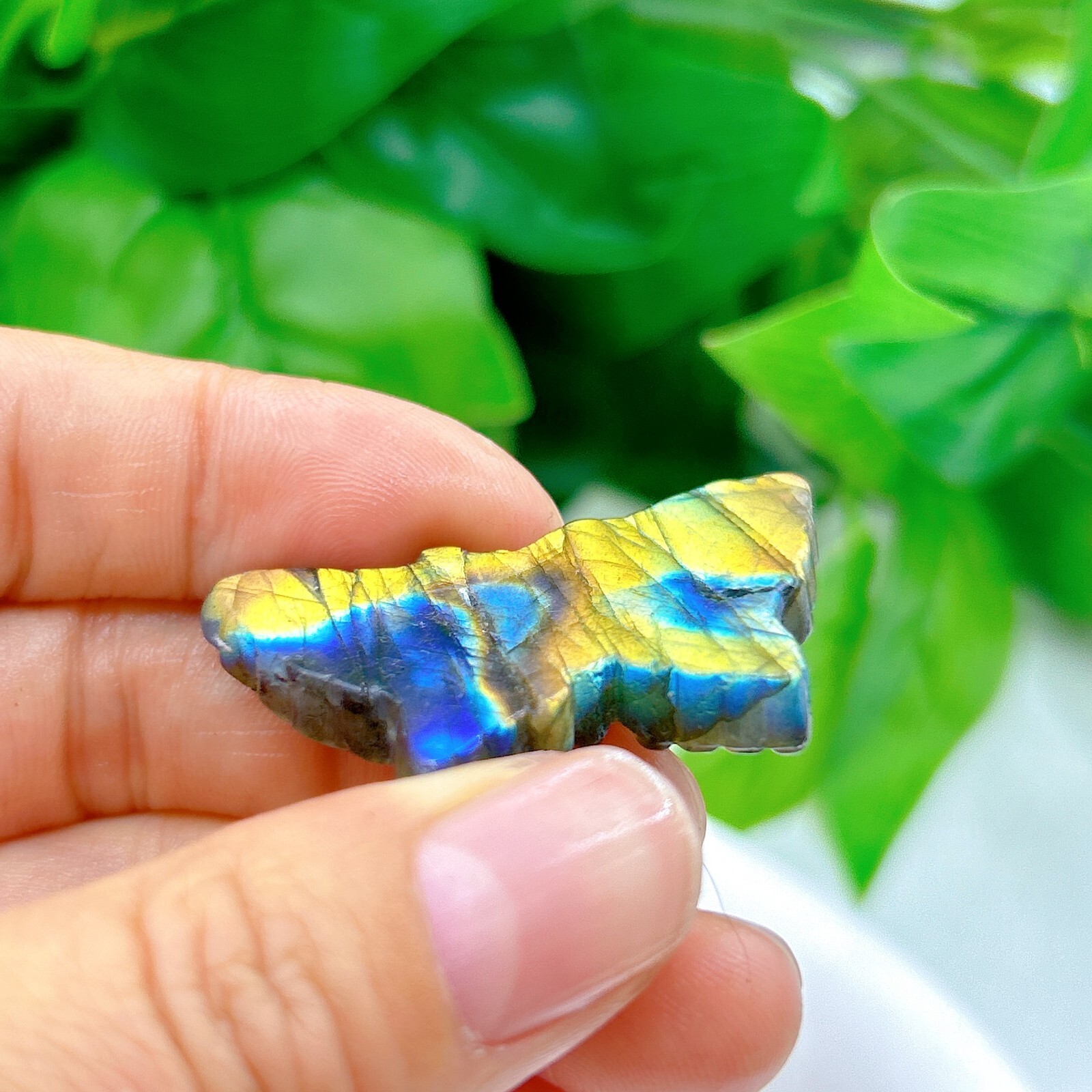 Natural labradorite Butterfly Hand Carved crystal Healing