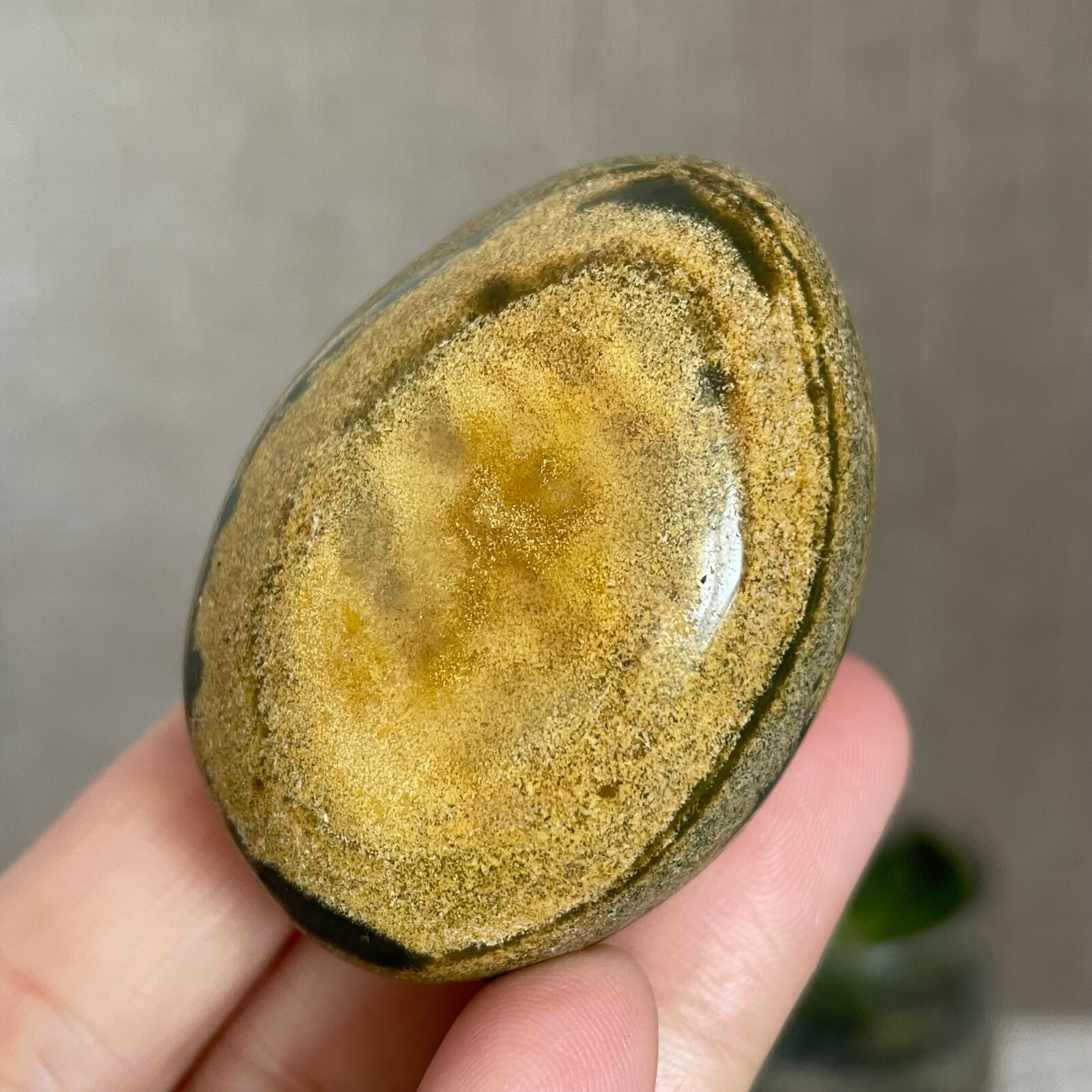Rare Natural Polishing yellow Ocean Jasper Specimen Healing Madagascar 66g m7712