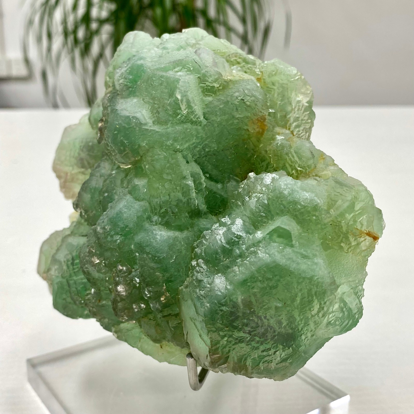 3.64LB Natural transparent green cubic fluorite mineral crystal sample/China