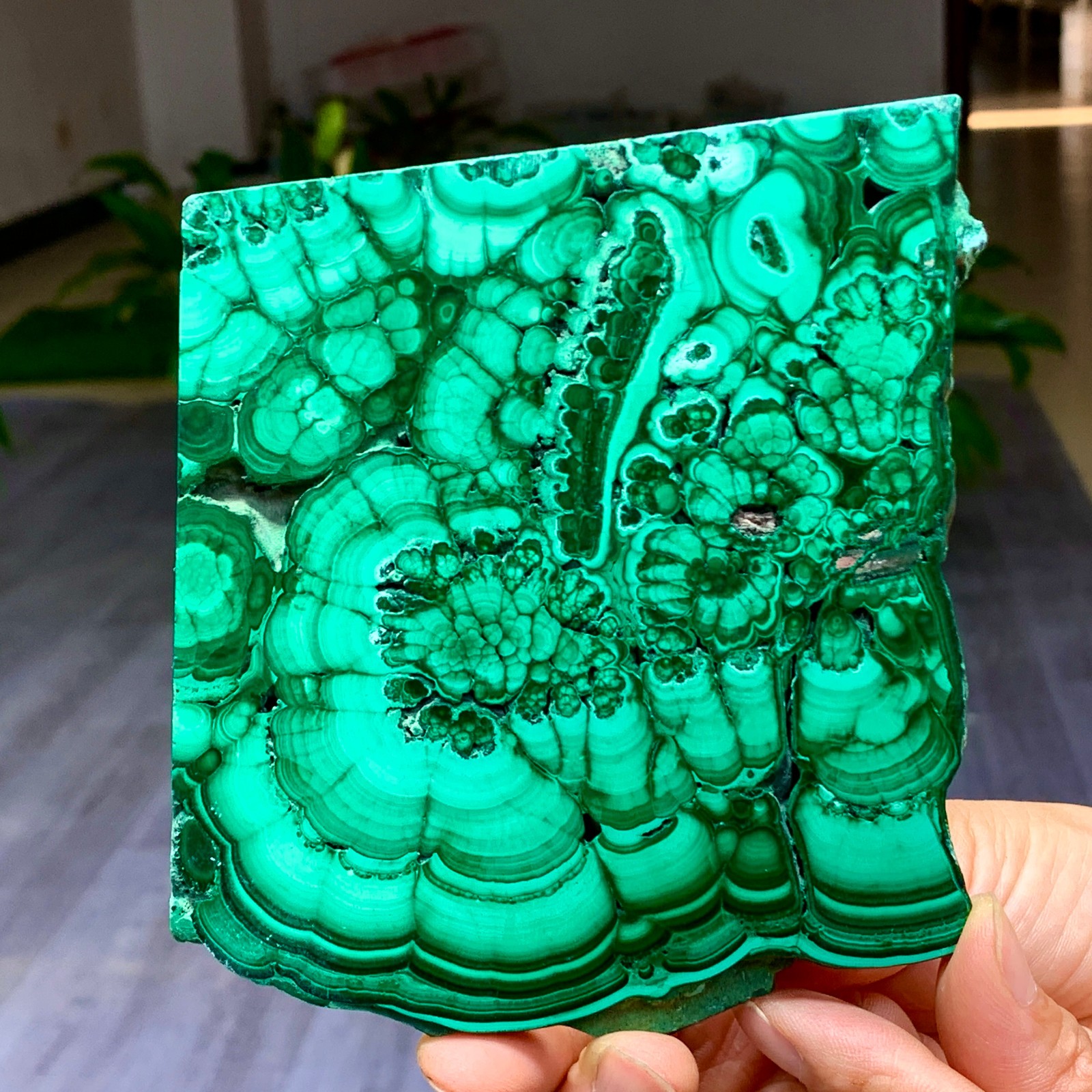 290G Natural glossy Malachite transparent cluster rough mineral sample