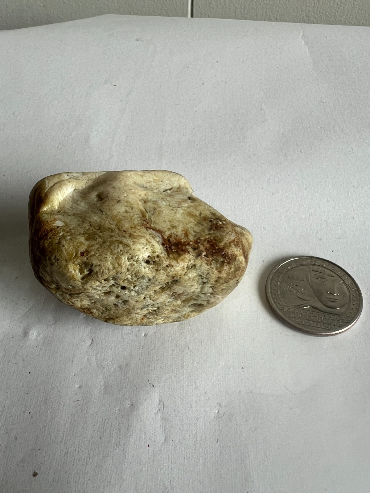 petrafied wood assorted random agatized opalized rocks raw collectables