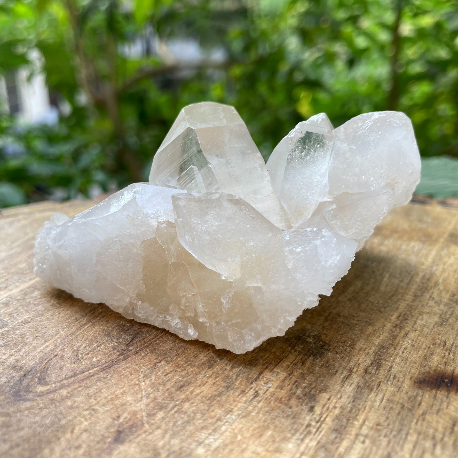 Natural Himalayan White Quartz Rough Crystal Stone HealingMinerals 0.26 lbs