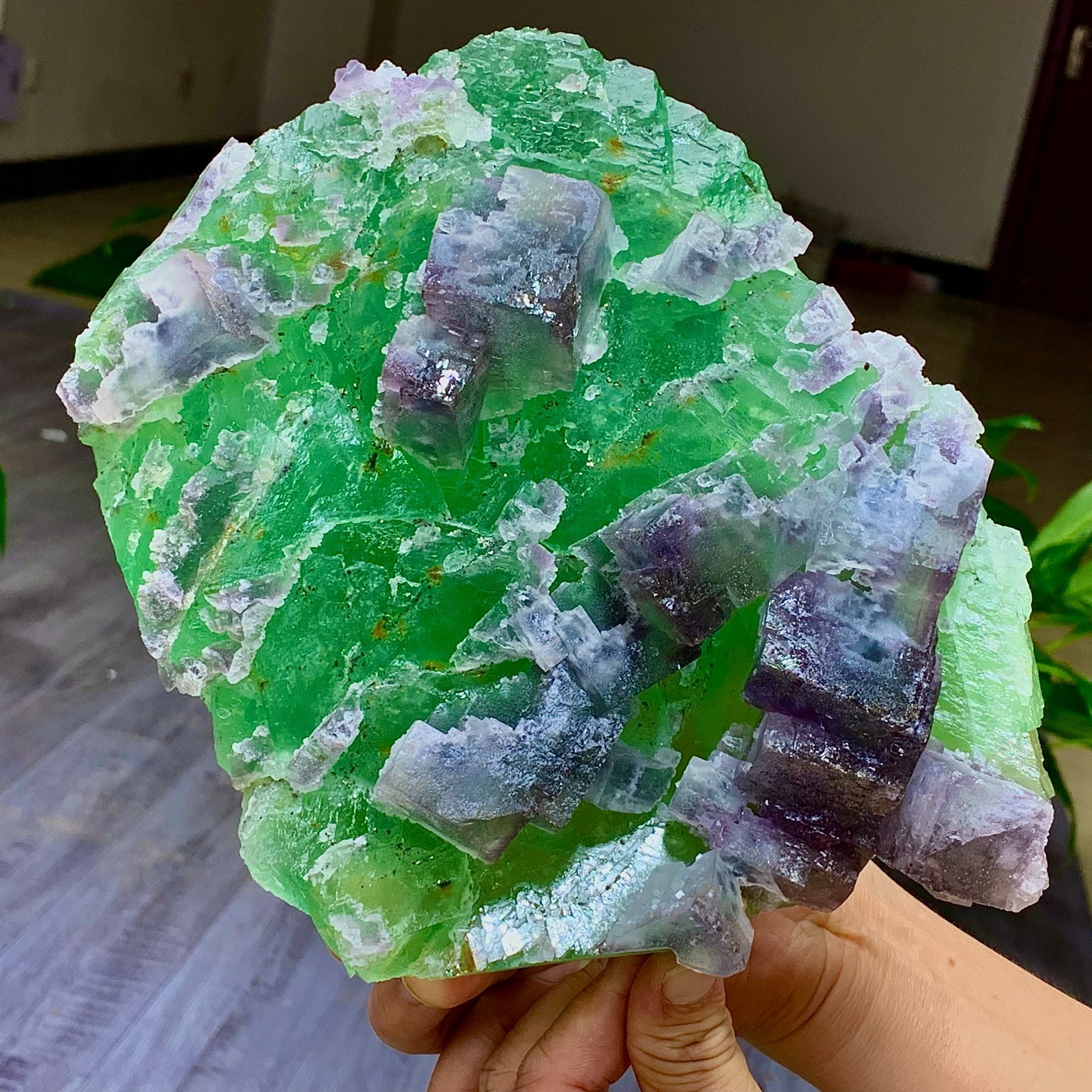 7.2LB Rare transparent green purple cubic Zhejiang fluorite mineral sample