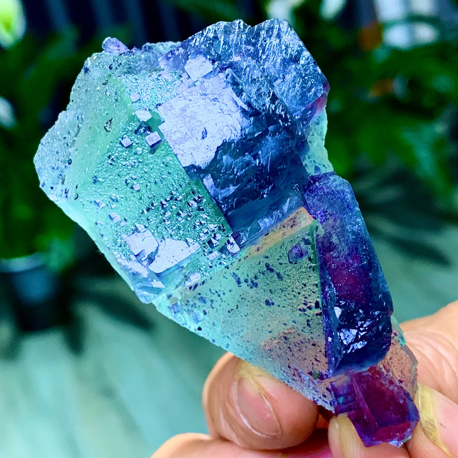 86G Rare transparent green purple cubic Zhejiang fluorite mineral sample