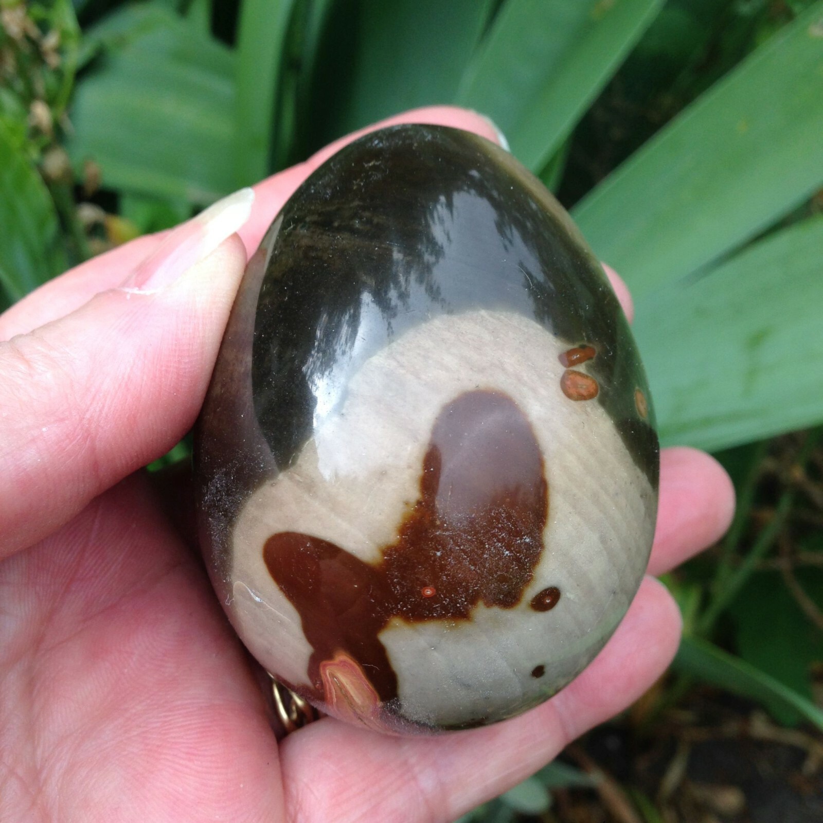 Polychrome Jasper Desert Crystal Egg Healing Scrying Balance 212g 6.6×4.98cm