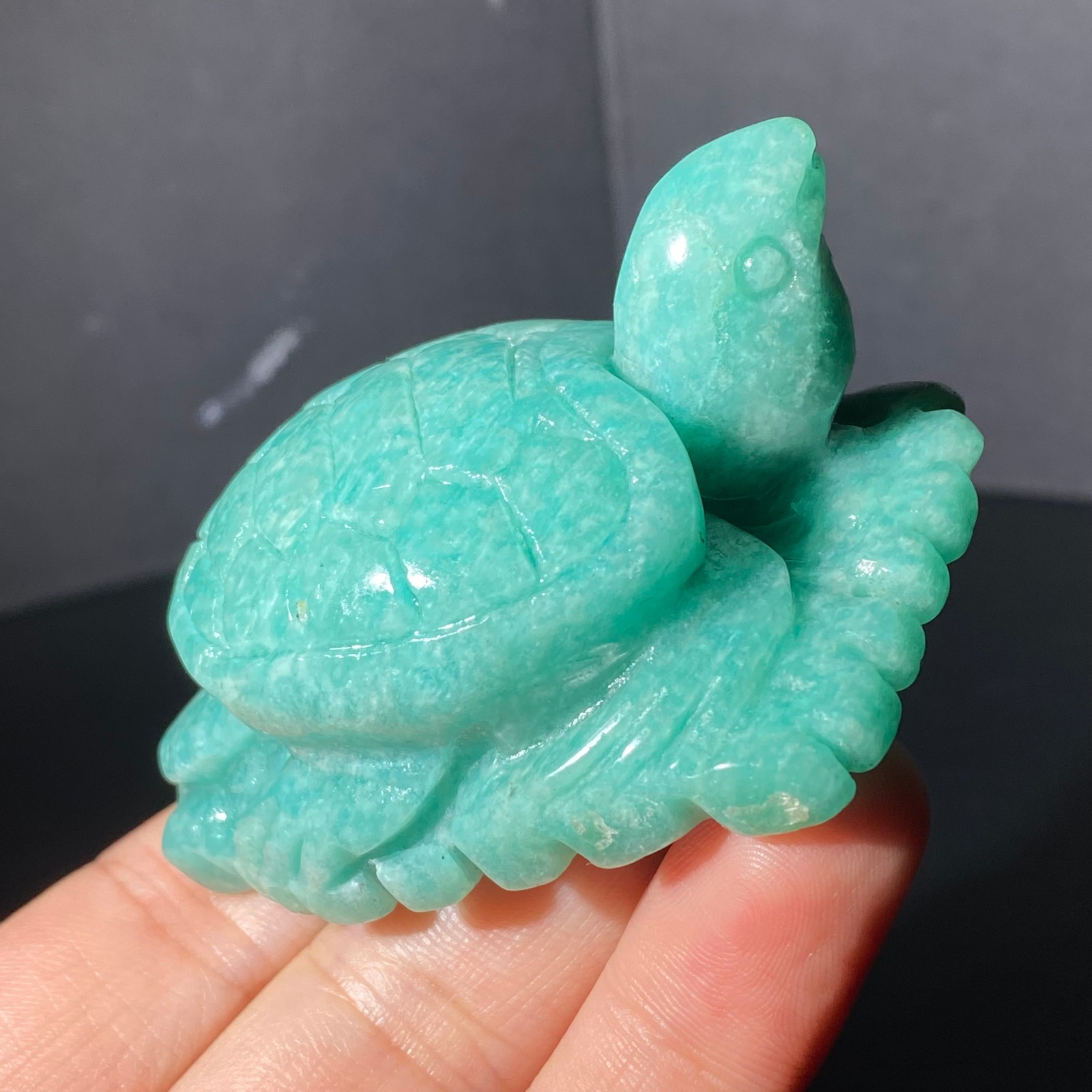 108G Natural Tianhe stone Turtle Quartz Tortoise Carved Crystal Skull Healing