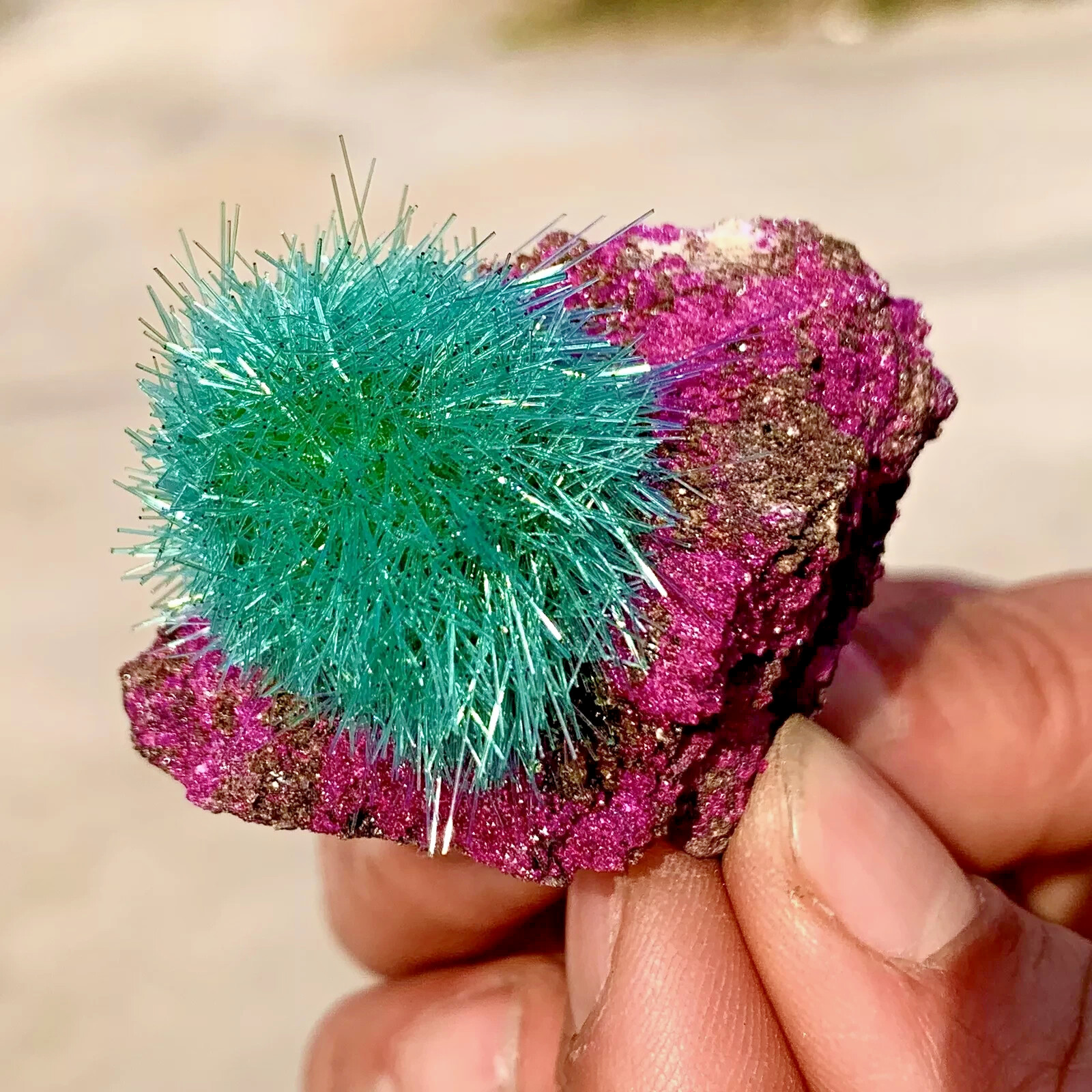 RARE Dandelion Zeolite Cluster Titanium Geode Quartz Crystal Healing Specimens