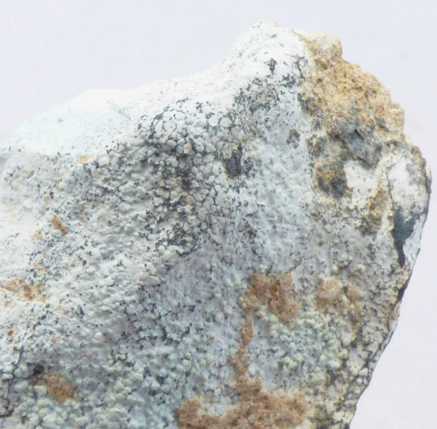 Solid Turquoise Mineral Specimen Island Park Idaho Natural Unpolished 4cm 19g