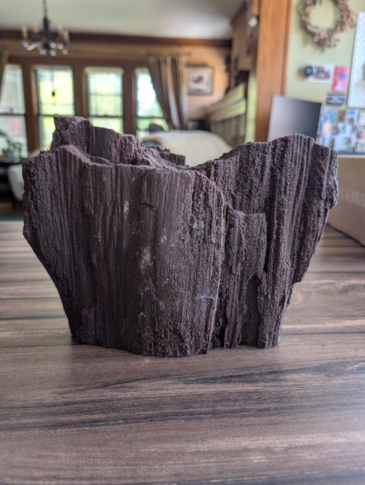 Large German Permineralized Petrified Wood Specimen with Druzy Quartz – 5.08 lb