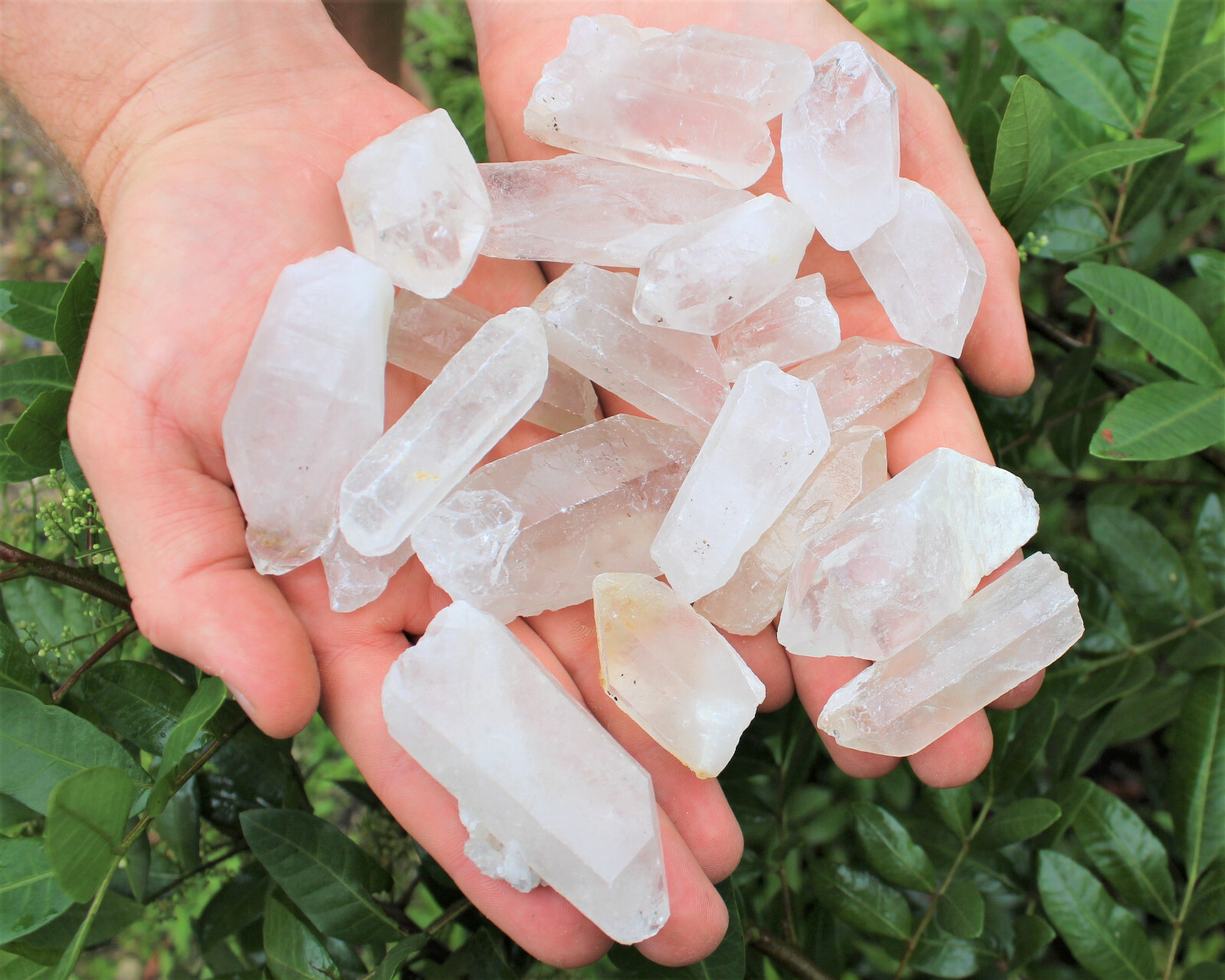 Wholesale CLEARANCE Bulk Lot 1 lb Rough Natural Quartz Crystal Points 16 oz