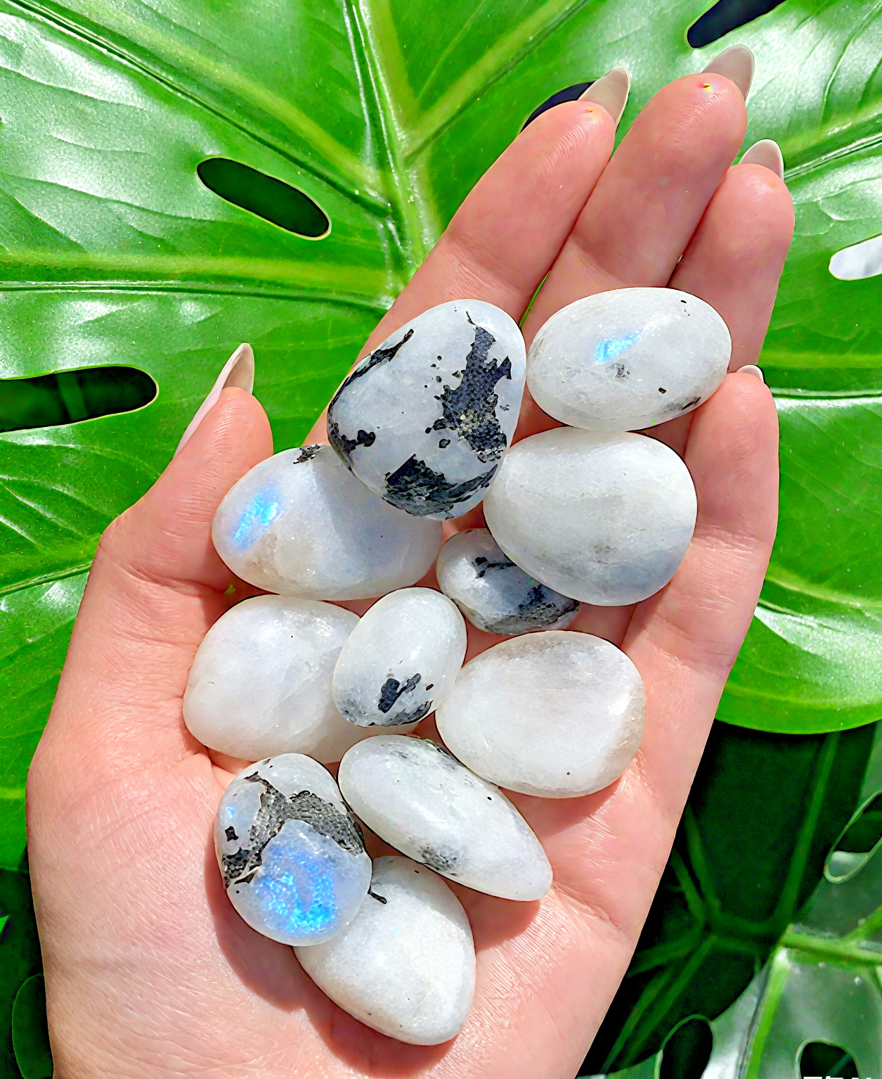 Rainbow Moonstone Tumbled Stone Mineral Specimen Crystal Healing Reiki Gifts