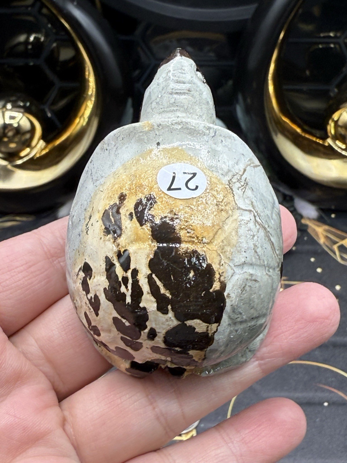 Natural Picture Jasper Land Turtle Tortoise Super Cute Carvings Free ship