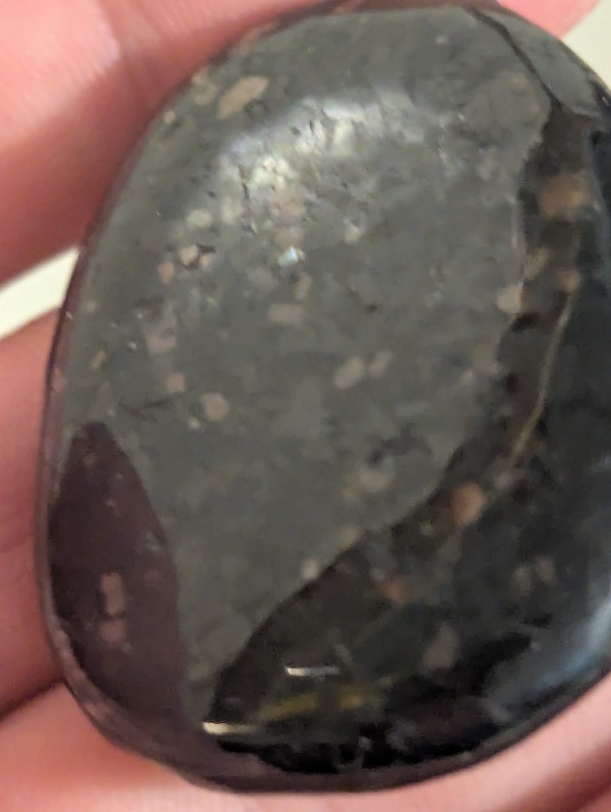 Flat Round Ovular sparkling Palm Stone