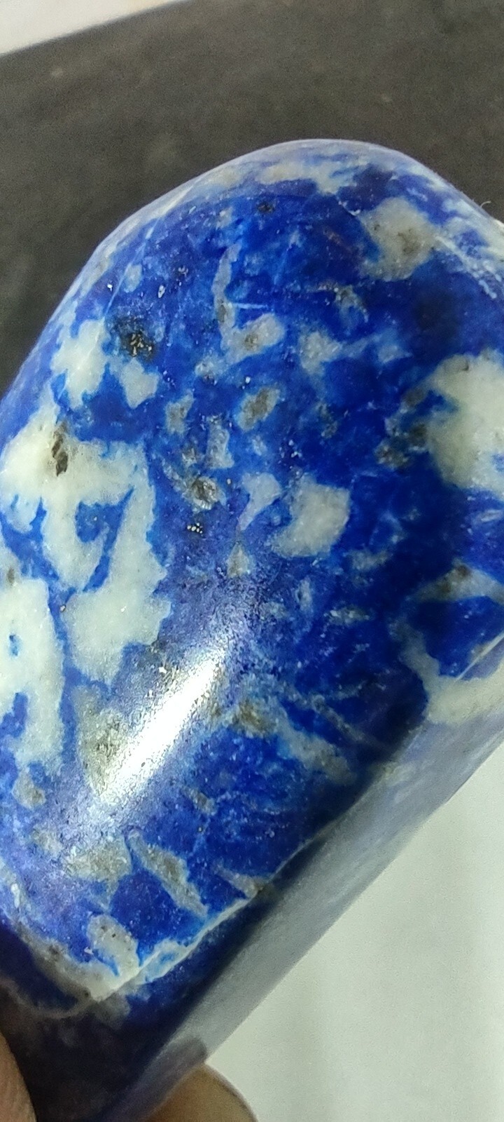 Lapis Lazuli Palm Stone Carved And Polished Rough On Back Side Afghanistan