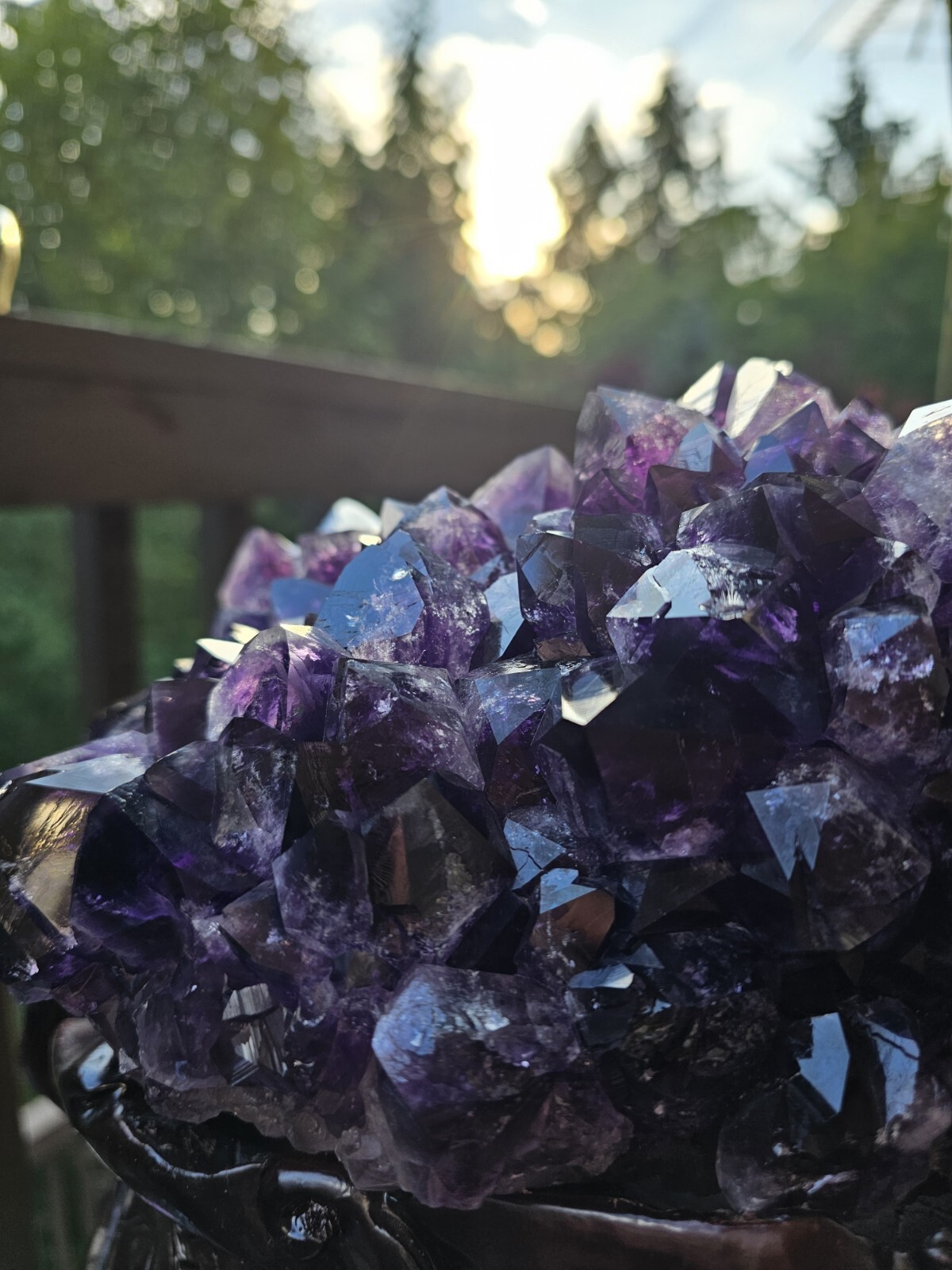 Rare Feng Shui Dragon Turtle with Large Amethyst Cluster