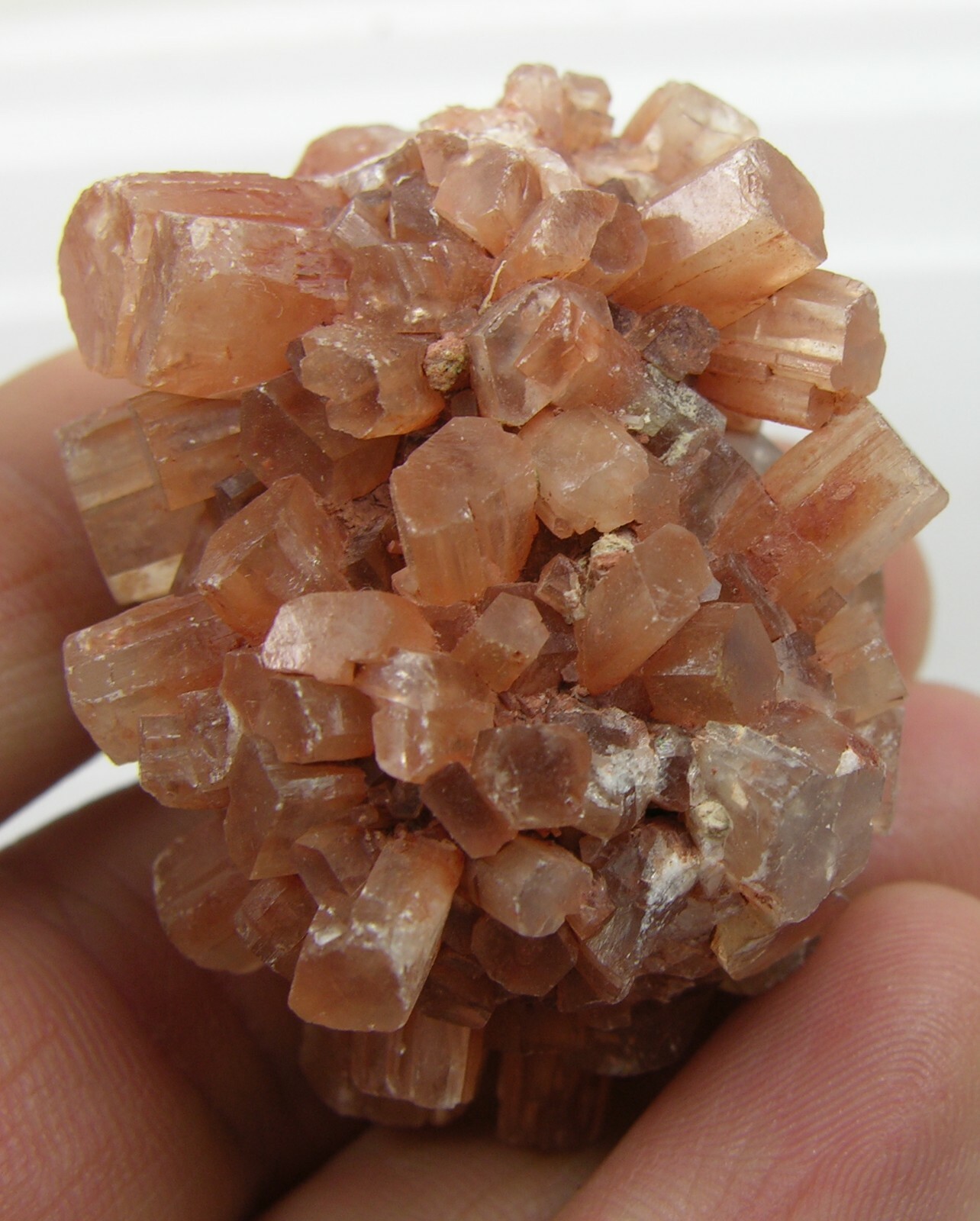 #2 45.00mm 100% Natural Atlas Mts Morocco Aragonite Cluster Specimen 1 3/4 in