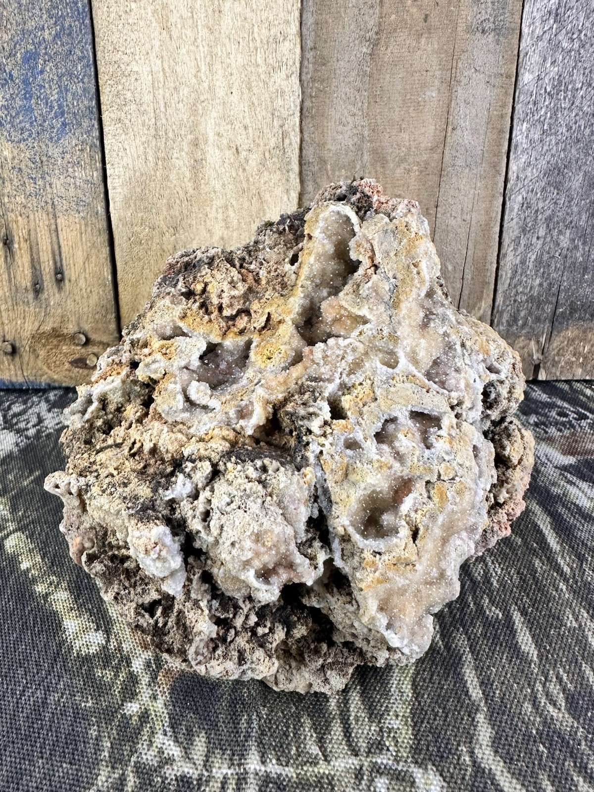 Missouri Natural Fossilized Coral with Druzy Quartz Aquarium Terrarium Display