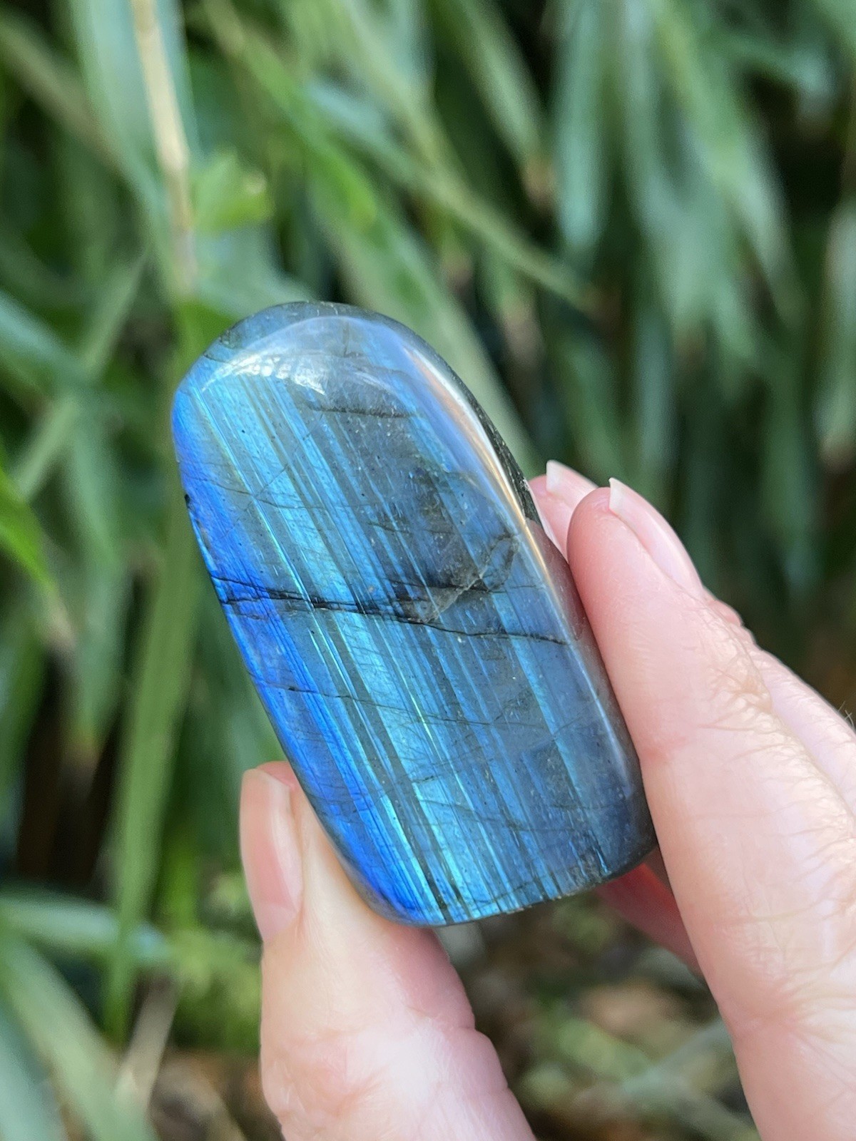 Deep Blue Labradorite Freeform Iridescent Crystal AAA+ 14