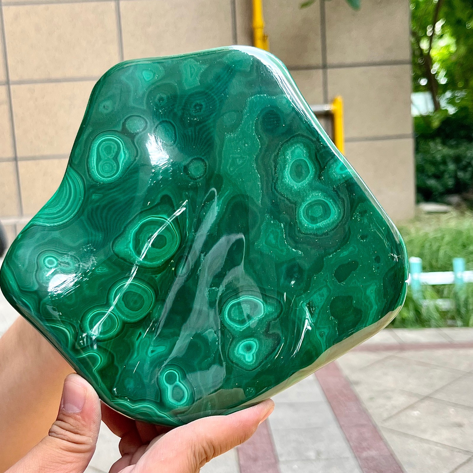 3.9 lb Authentic Malachite Stone Half Polish Half Raw Natural Patterns