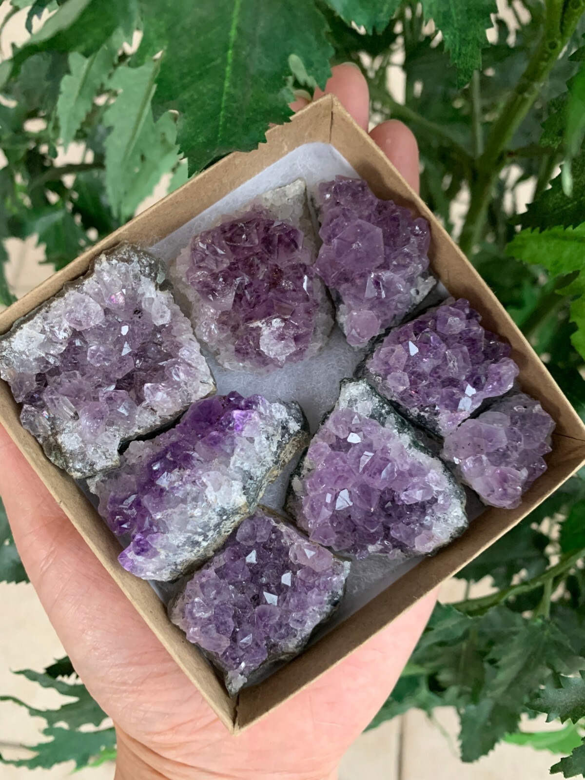 Raw Amethyst Cluster Druzy Collection Box: 6 – 8 oz Box Lot, Natural Amethyst