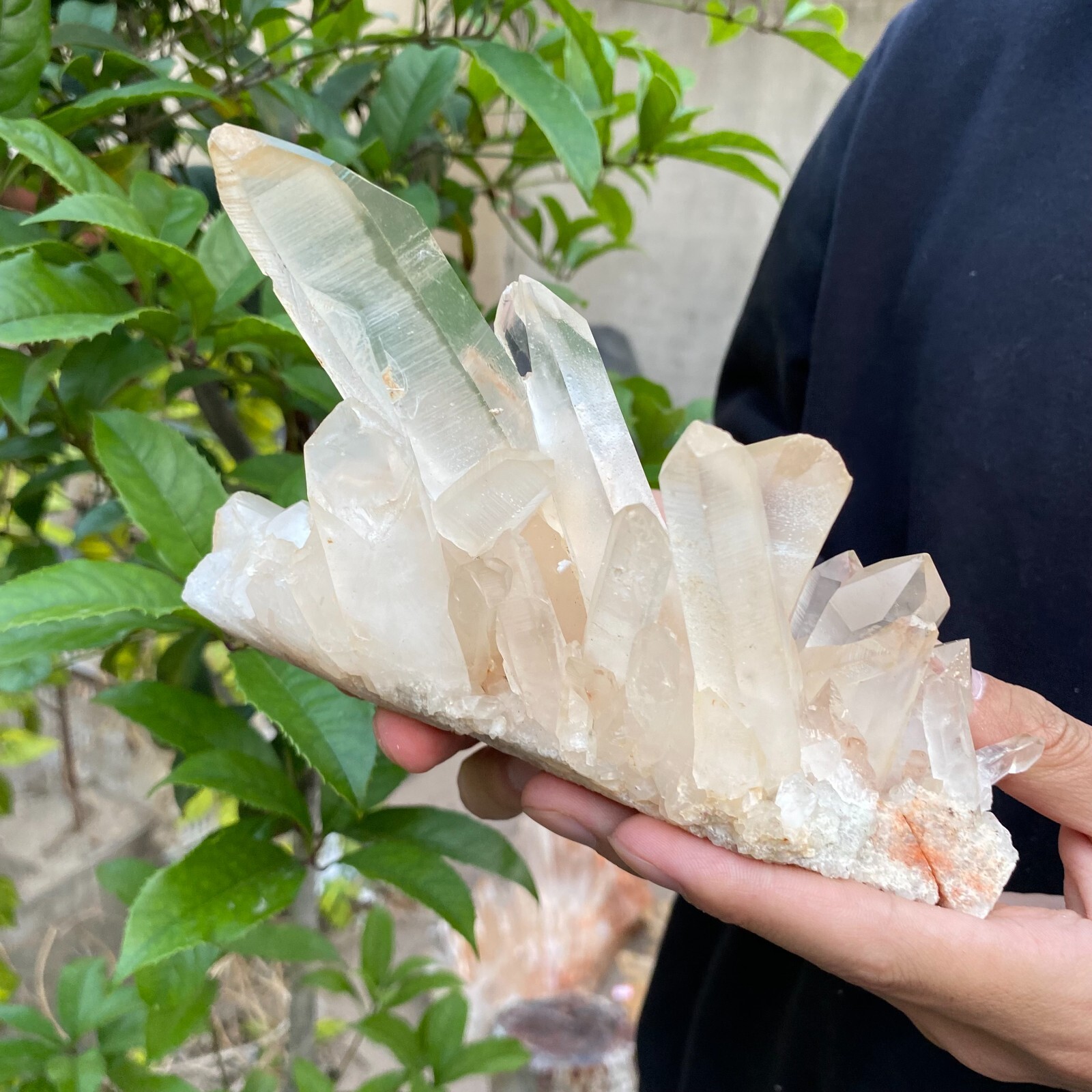 2lb Natural Clear White quart Crystal Cluster Raw Healing Specimen